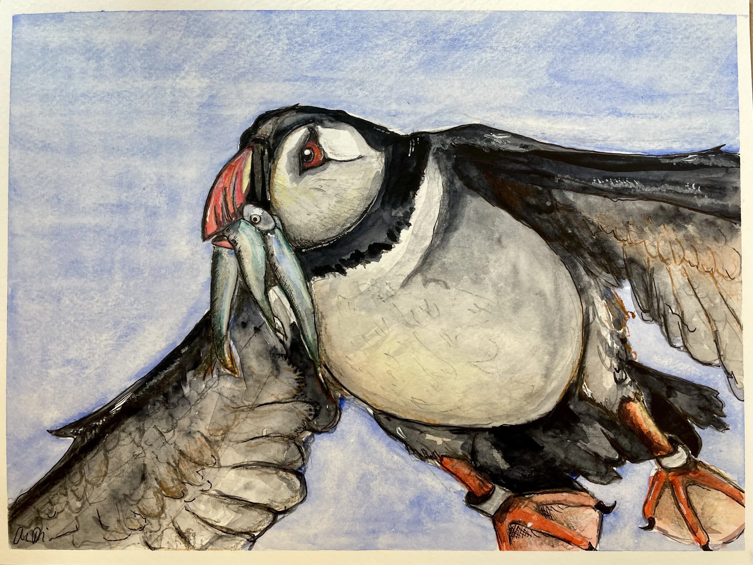 Puffin with Lunch, Watercolor on Paper, Available