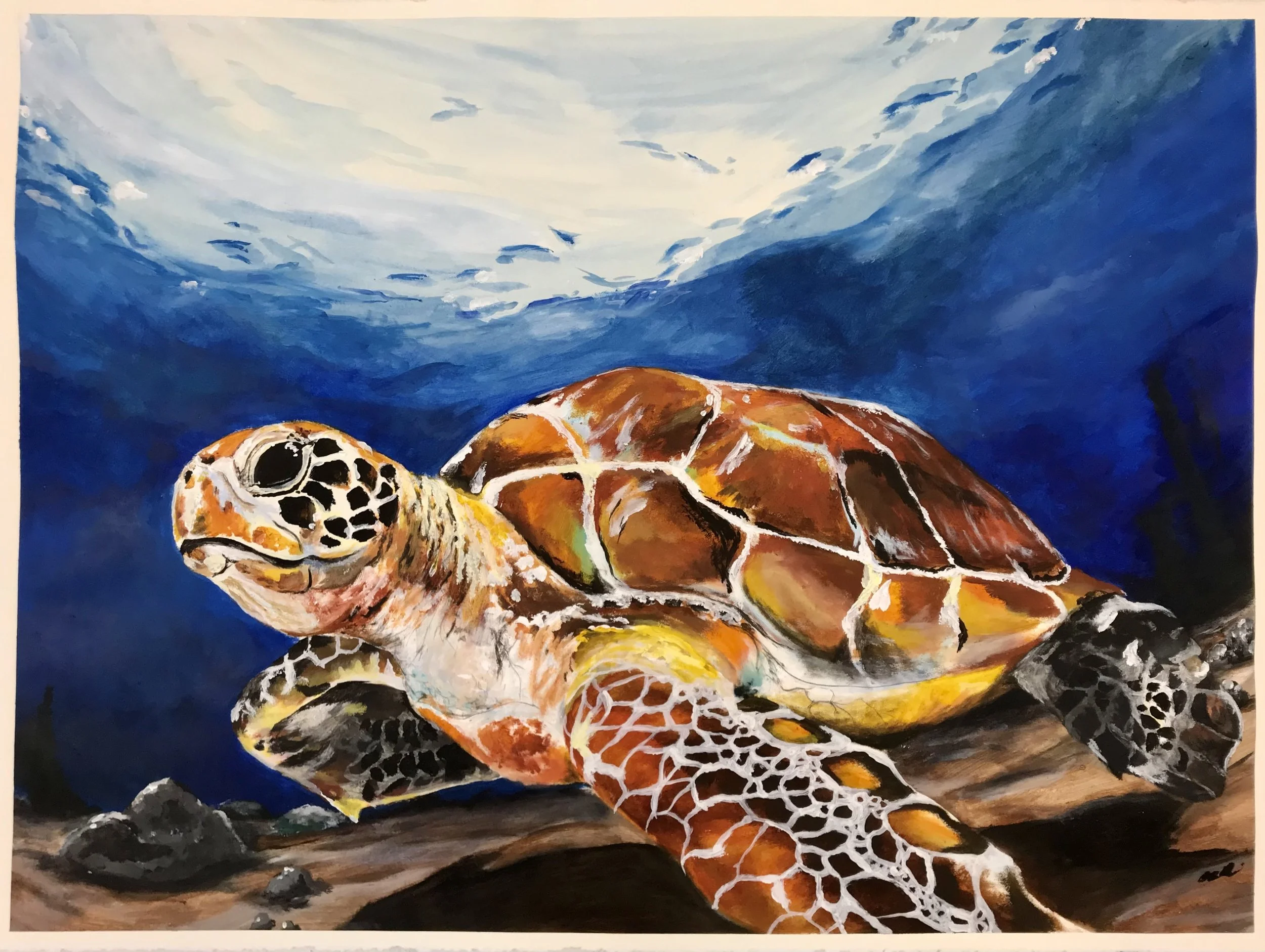 Big Turtle, Acrylic on Paper