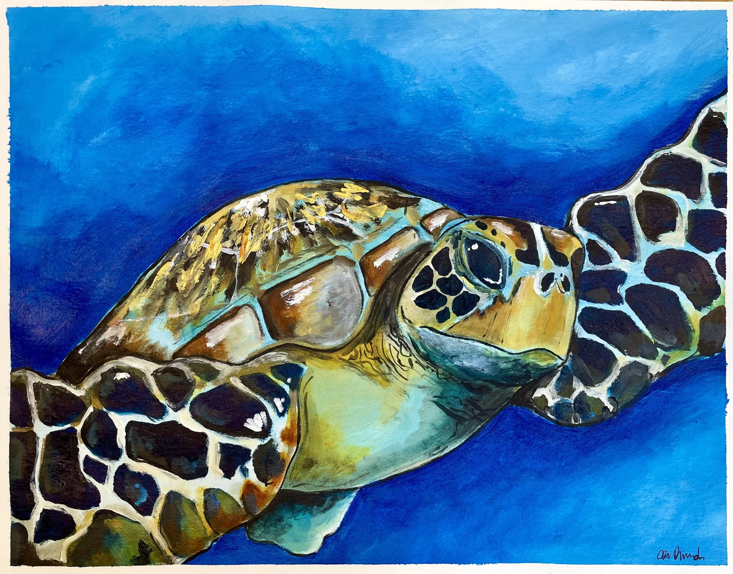 Sea Turtle #2, Acrylic on paper