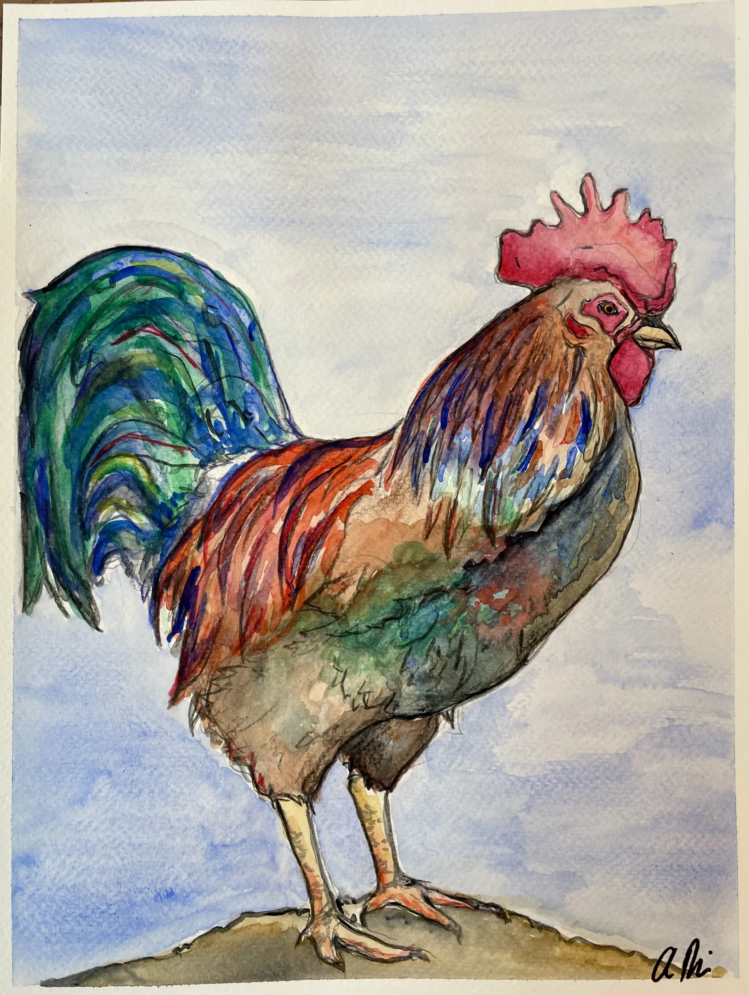 Rooster, Watercolor on Paper, Available