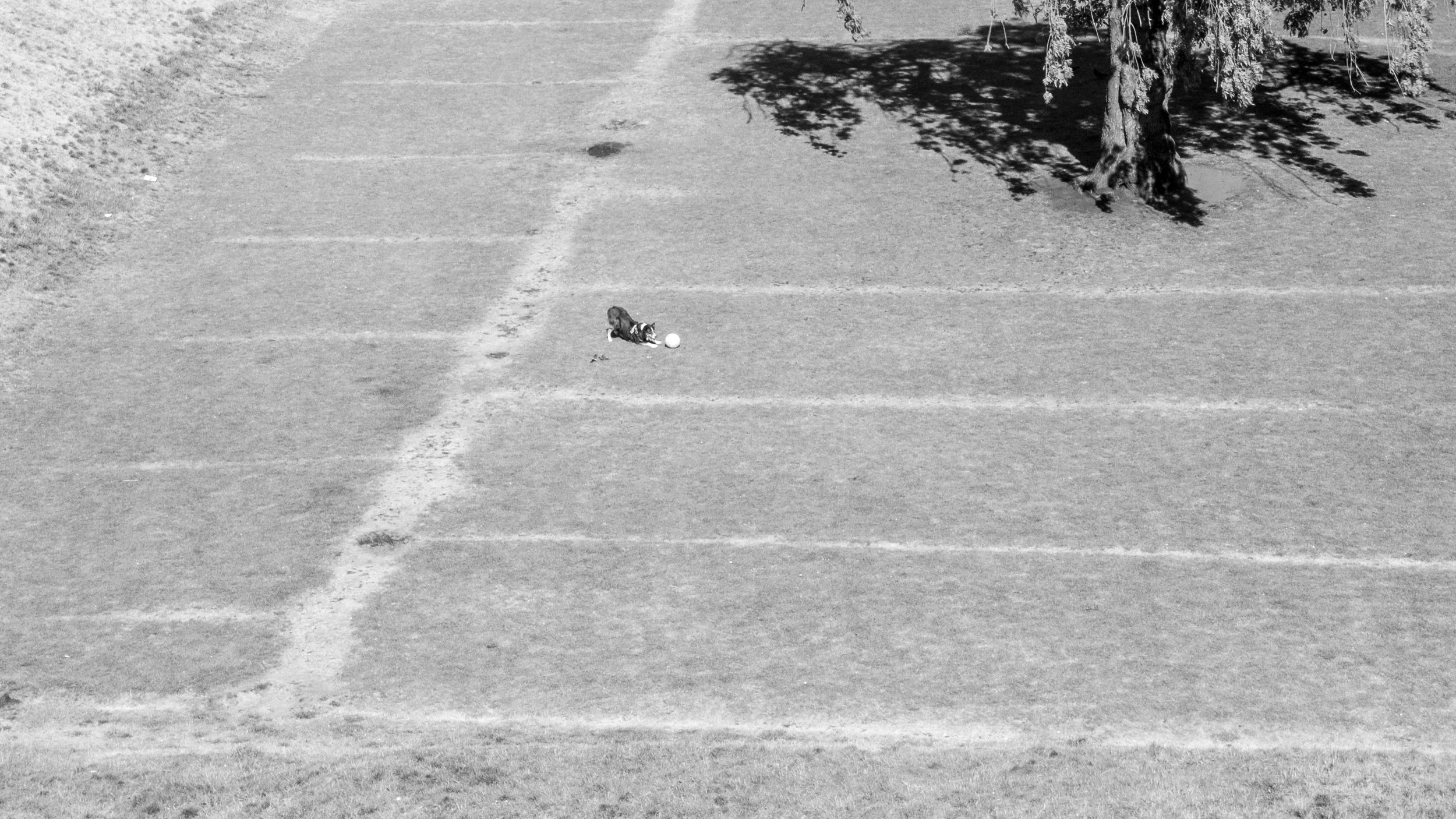 P1000487.jpeg