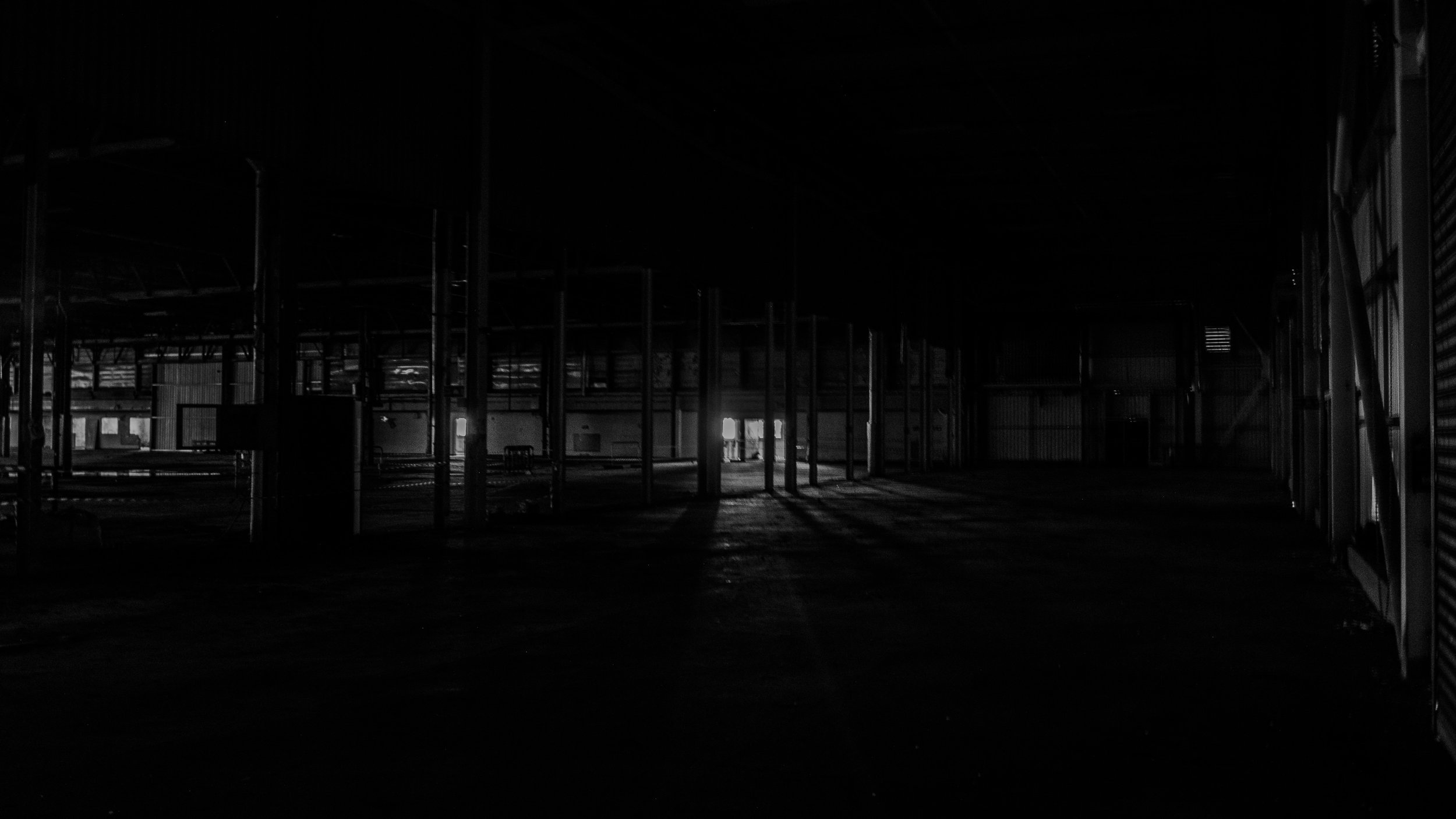 P1000302.jpeg