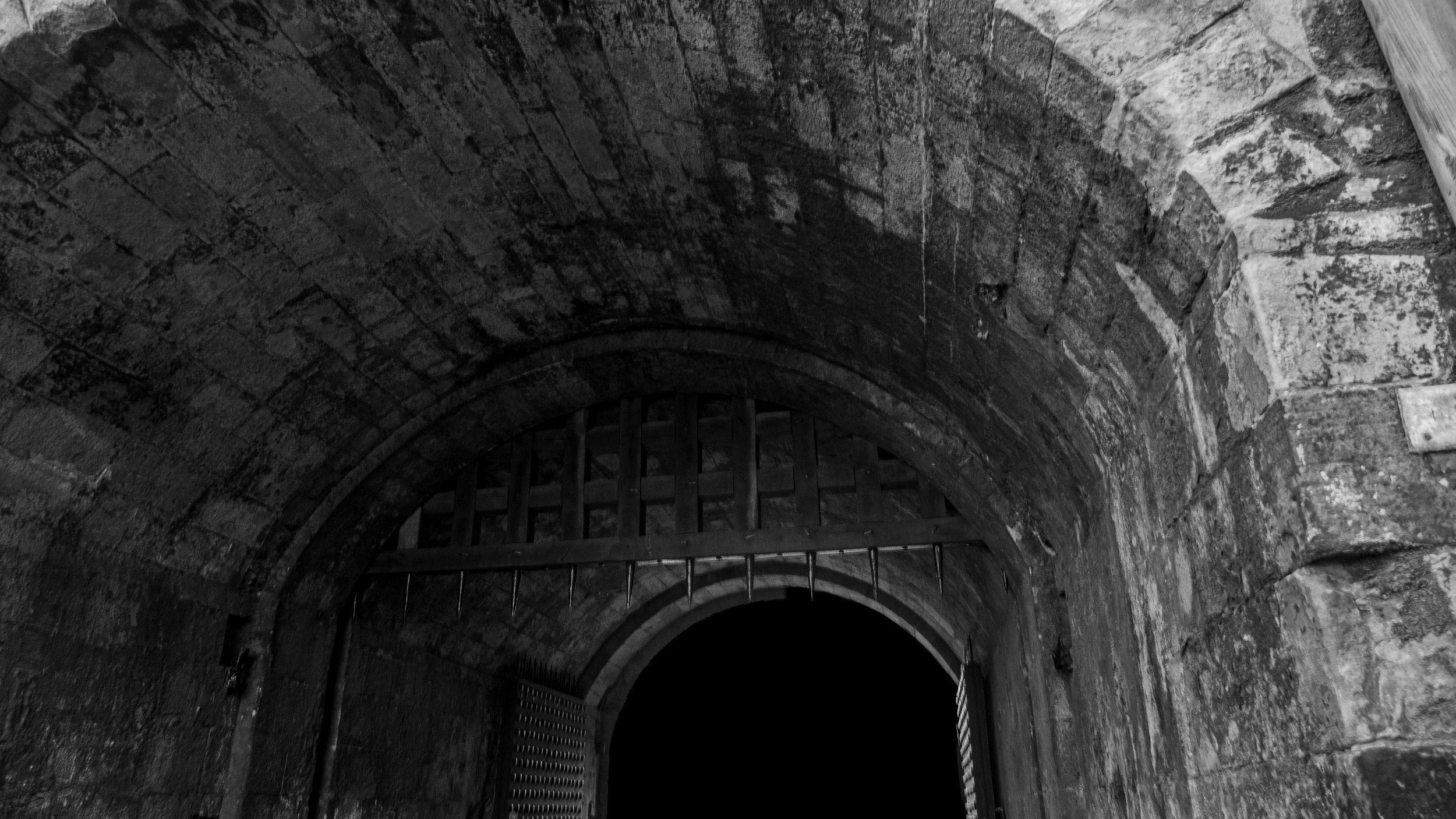 P1000561.jpeg