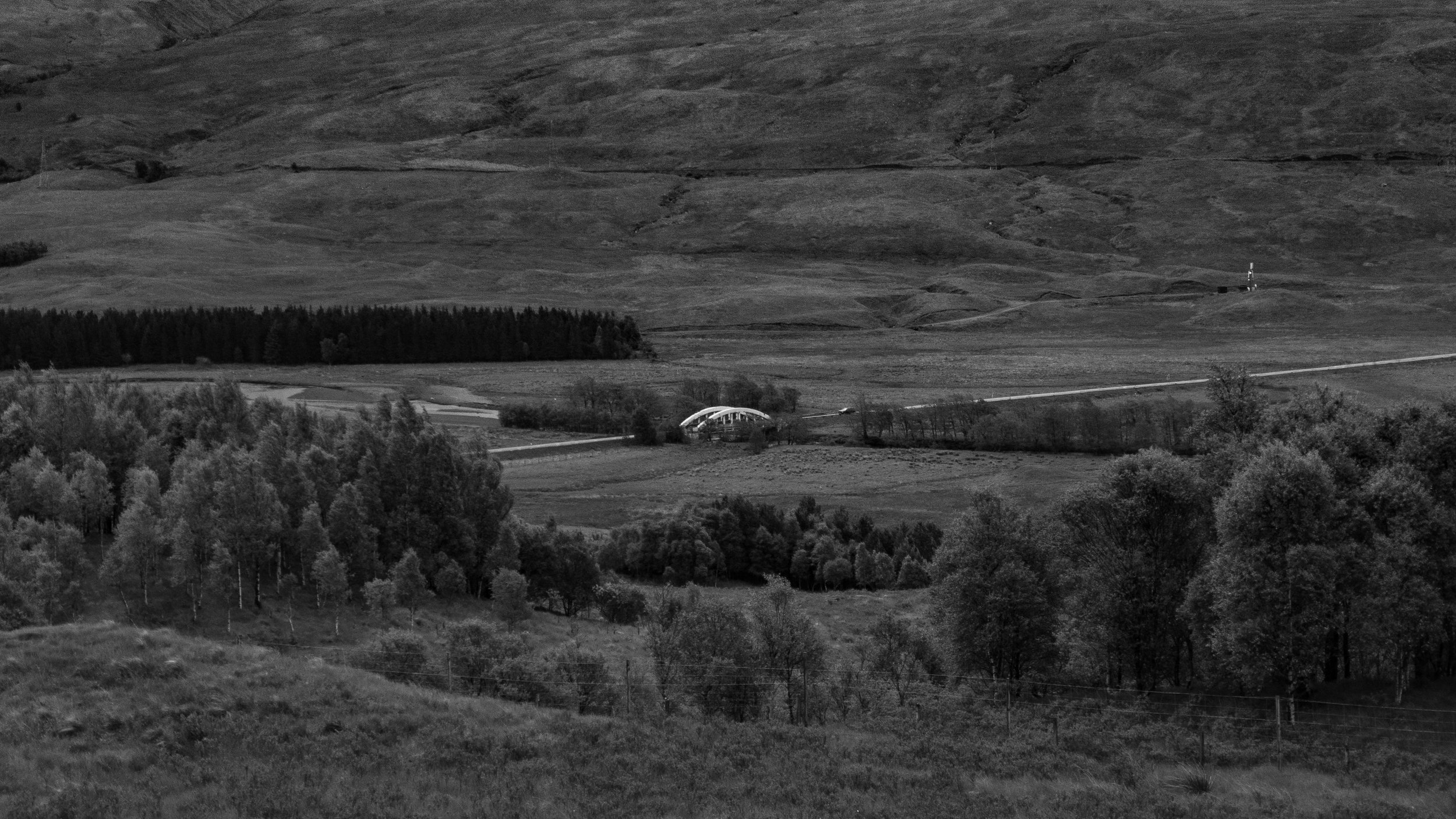 P1000622.jpeg