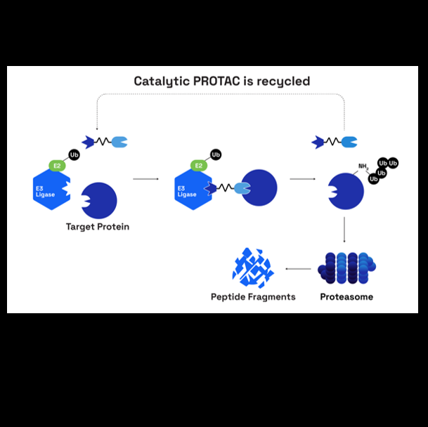 Induced Proximity: Are We Close?