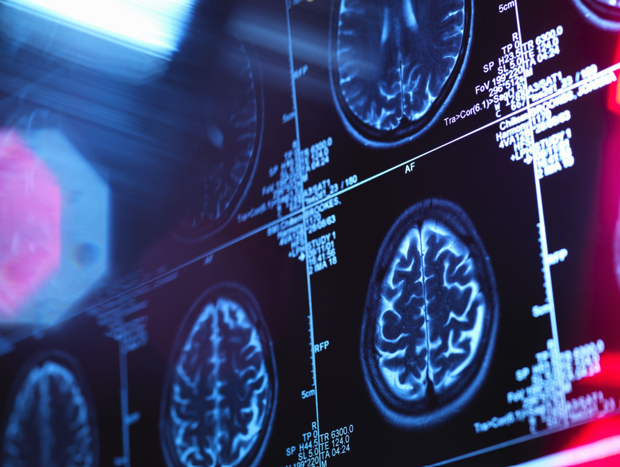 The Role of White Papers in Medical Education