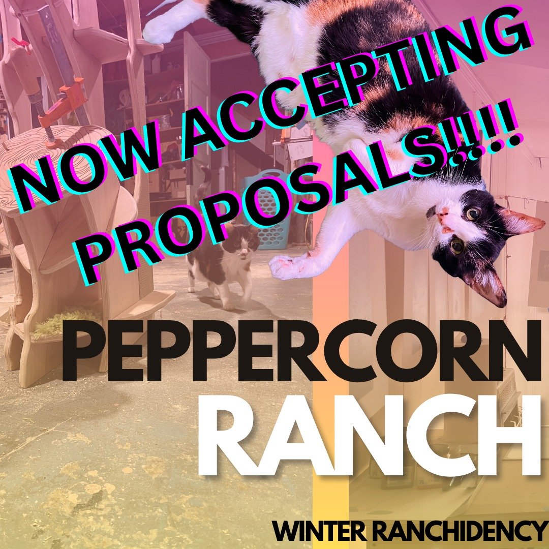 WE ARE BAAACKKK!!

We are now accepting proposals for November 2025 (and beyond!)

Winter Ranchidents enjoy access to a chilly basement studio complete with work tables, access to tools and equipment, and a community of likeminded makers. Overnight o