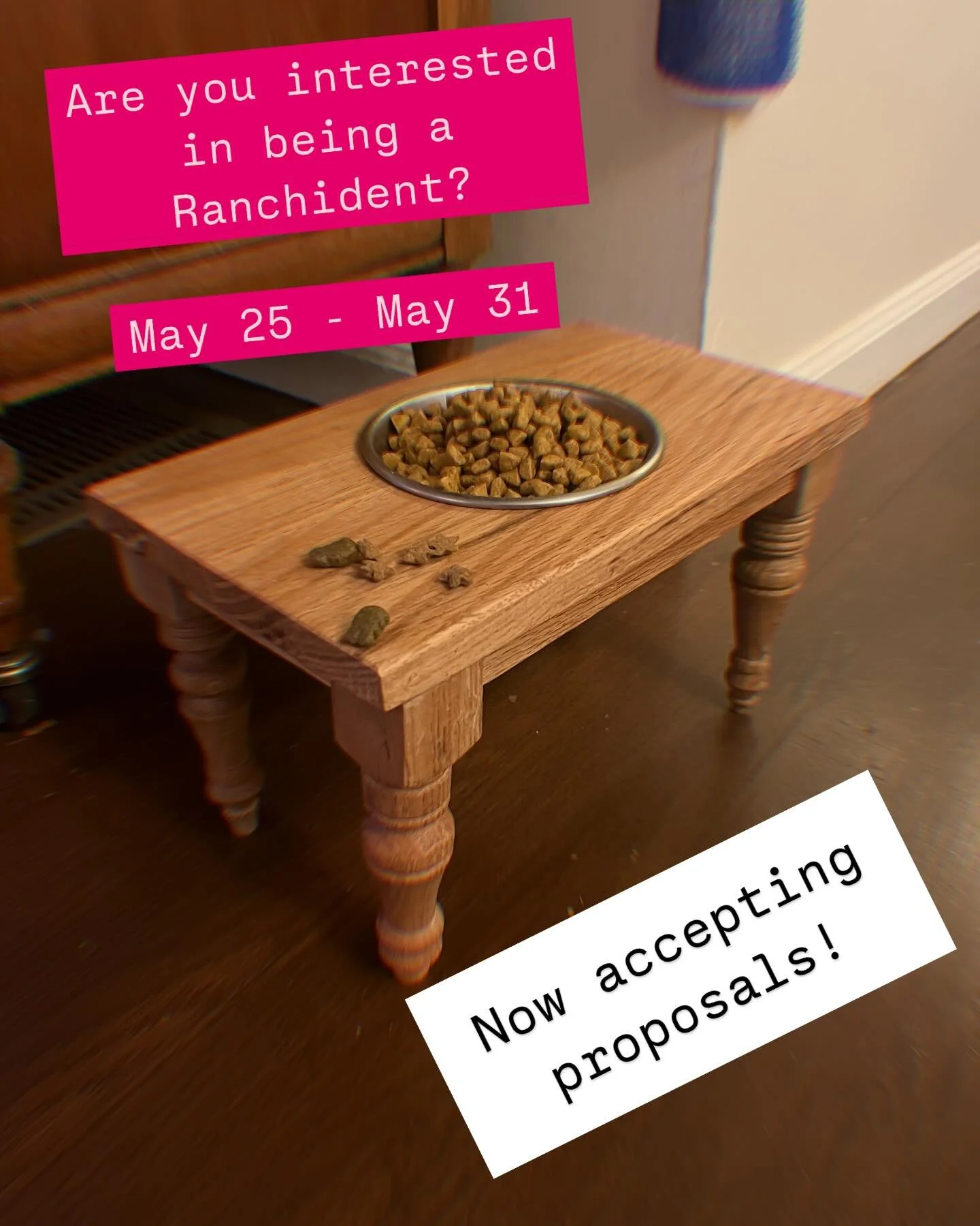 accepting proposals for spring 2025! 
May 25 - 31, 2025

Enjoy an amazing opportunity to hang in a musty basement with 🌈friends🥳 and me, Peppercorn! 🐈 

DM with date(s) and a description. 

Applications reviewed on a rolling basis starting NOW!
