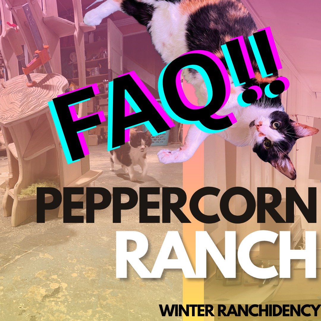 Q: What even is this???
A: Peppercorn Ranch is a free artist residency program hosted in an Asheville home. We provide access to woodshop equipment, sewing machines, printmaking supplies, as well as an opportunity to cowork and/or receive some instru