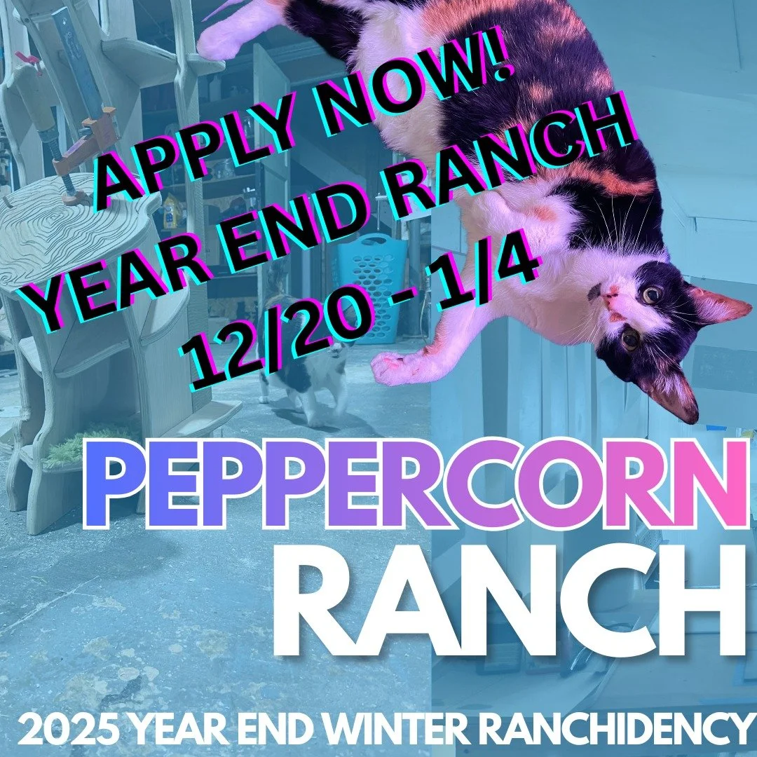 🎉 Now accepting year end project proposals! (Link in Bio) 🔥

Peppercorn Ranch is a coworking, toolsharing, experimental art project located in South Asheville. 

We offer free space, tools, and time to support working artists who may not otherwise 