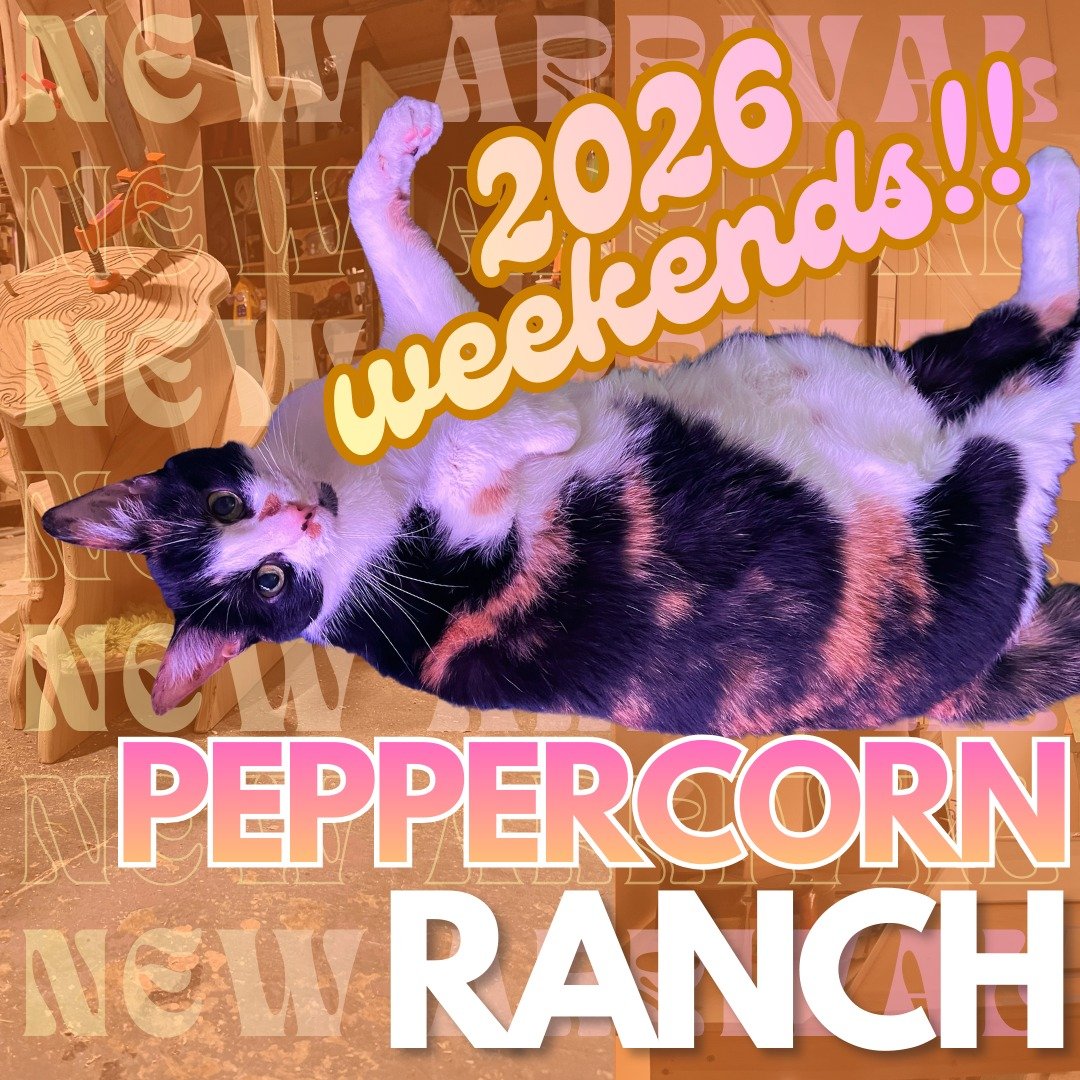 New monthly weekend opportunities!

Peppercorn Ranch is an experimental project-based maker residency program in a basement in South Asheville.

~ www.peppercornranch.org ~
Schedule and proposal links in bio!