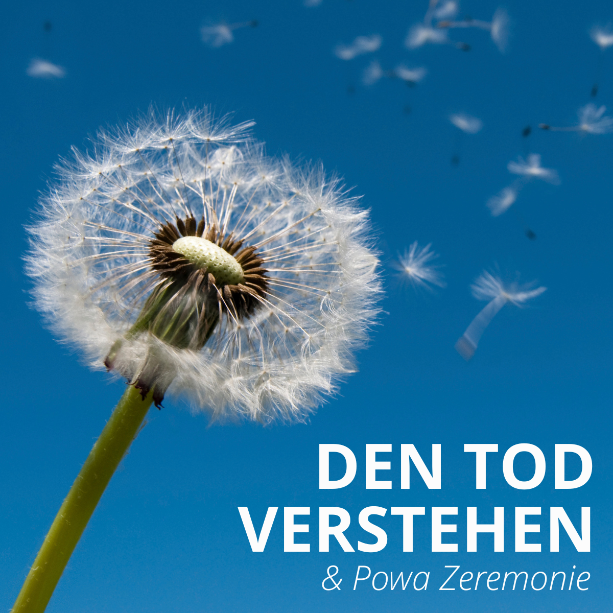 Den Tod verstehen &amp; Powa Zeremonie