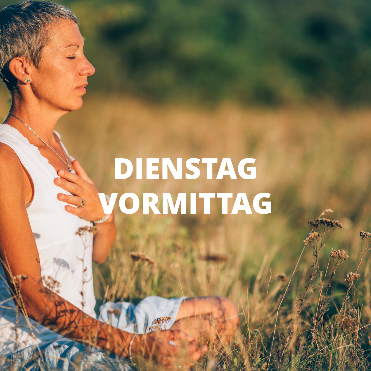 Ab 25. Aug: Meditationen für das Gute in dir