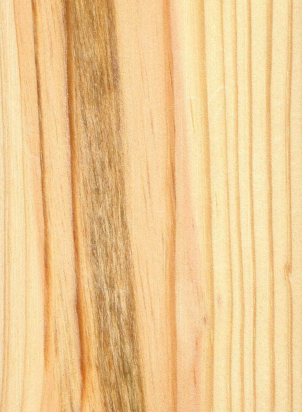 shortleaf-southern-yellow-pine.jpg