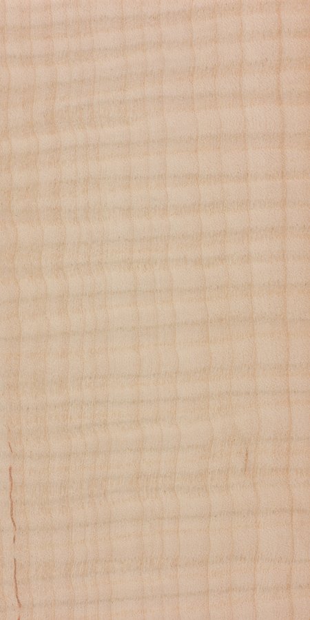 curly-maple.jpg