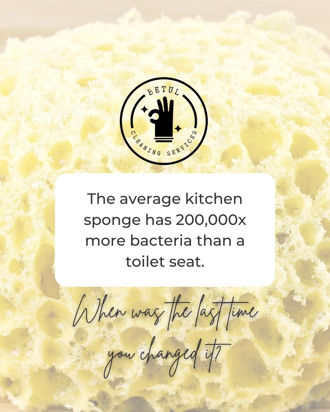 Yikes π³ … don’t let the dirtiest spot in your home be where you clean your dishes.
A professional deep clean can wipe out hidden germs and give you a safer, healthier kitchen. π§½β¨
π We’ll do the dirty work so you don’t hav