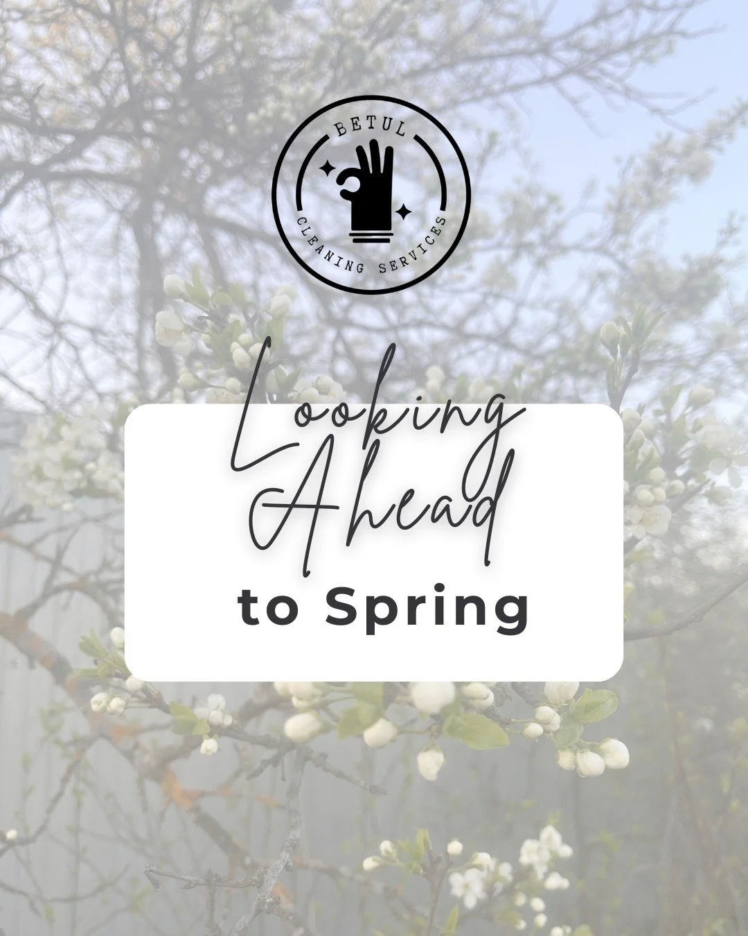 February is preparation season.
The homes that feel best in spring are the ones maintained now.

Lock in your February cleaning now!

#SpringPrep #AtlantaLiving #HomeCare #CleanStart