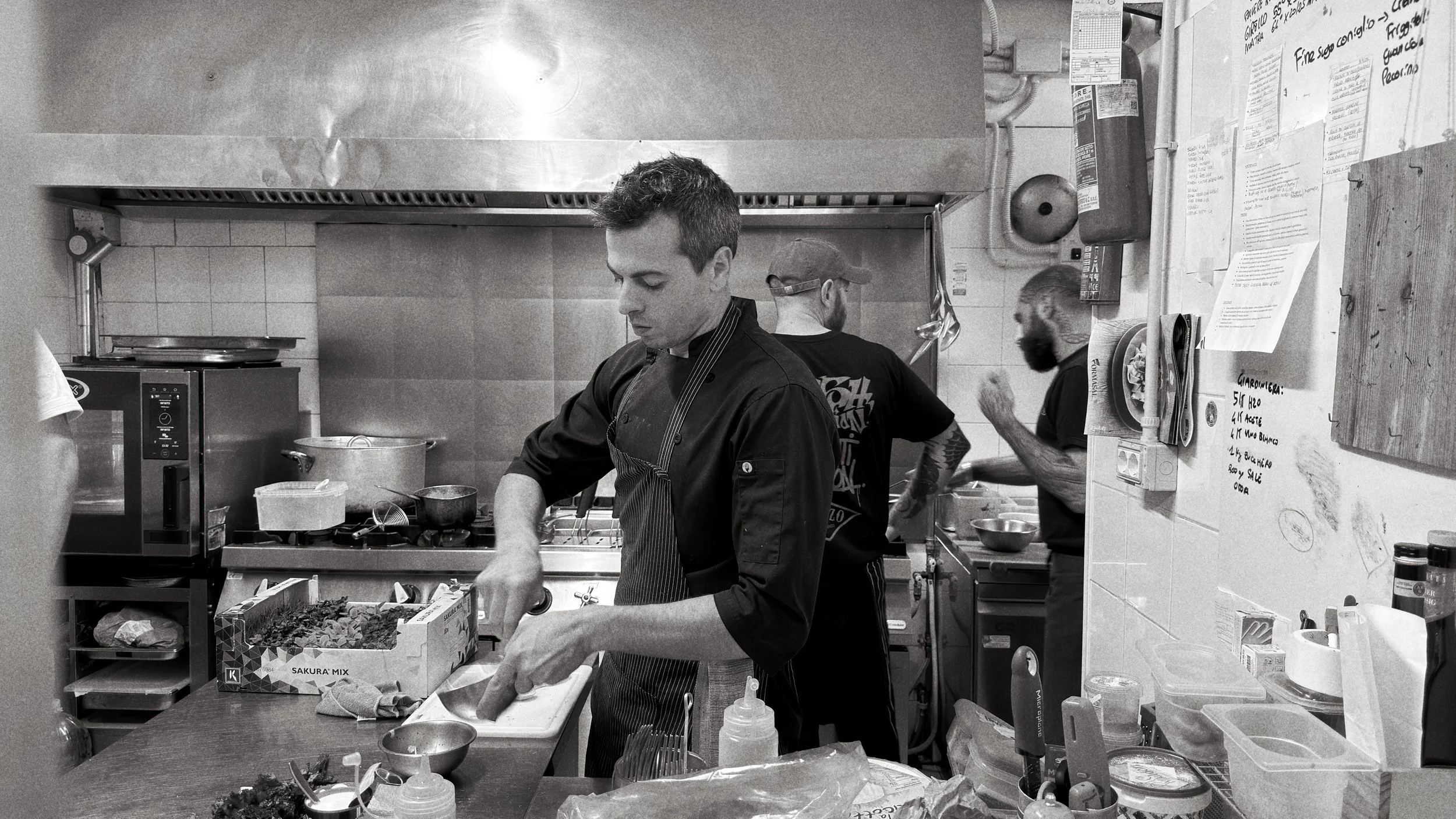 Zdjęcie 24-10-2025, 11 32 54.jpg