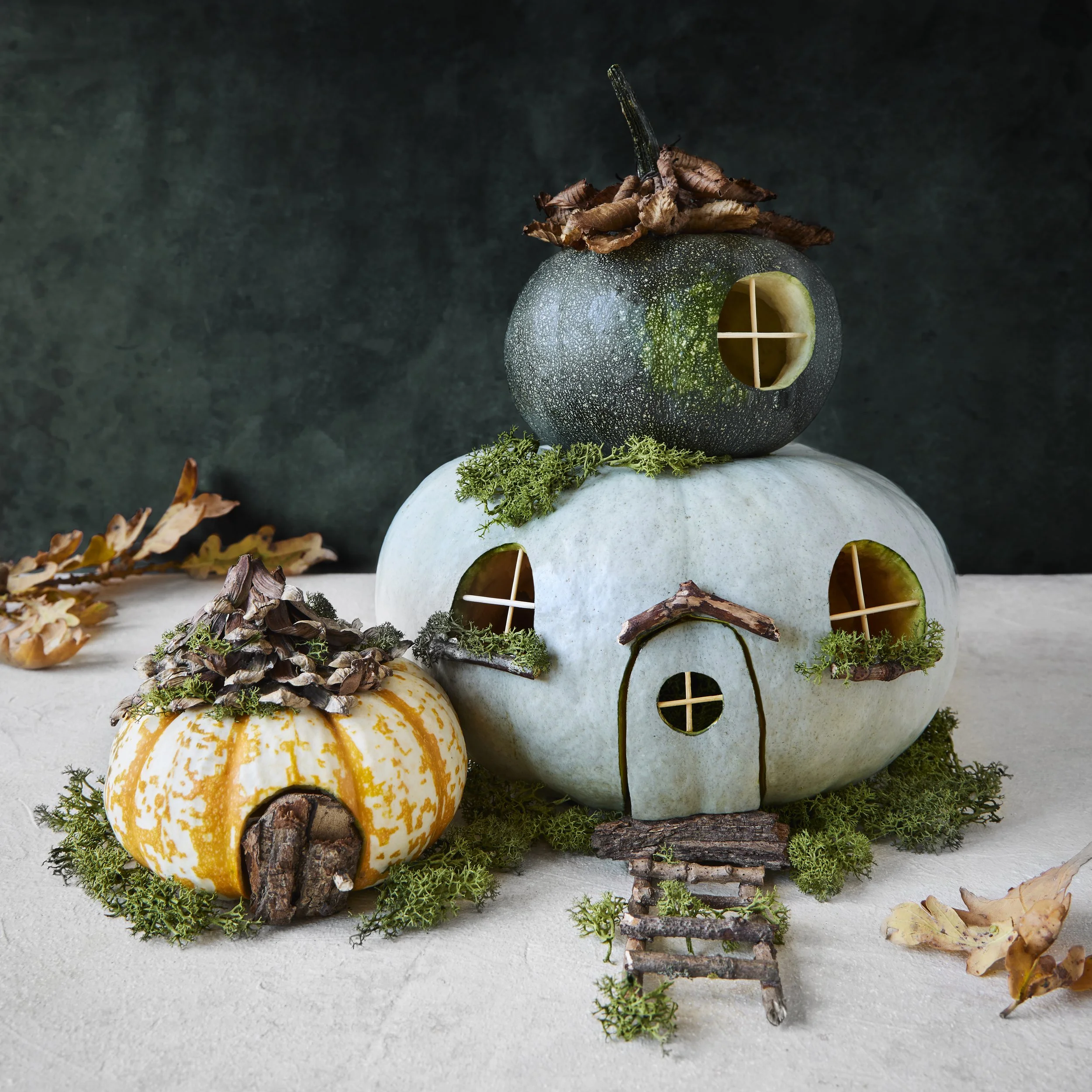 Decorative display with gourds, dried leaves, moss, and small sticks on a light surface, set against a dark background.