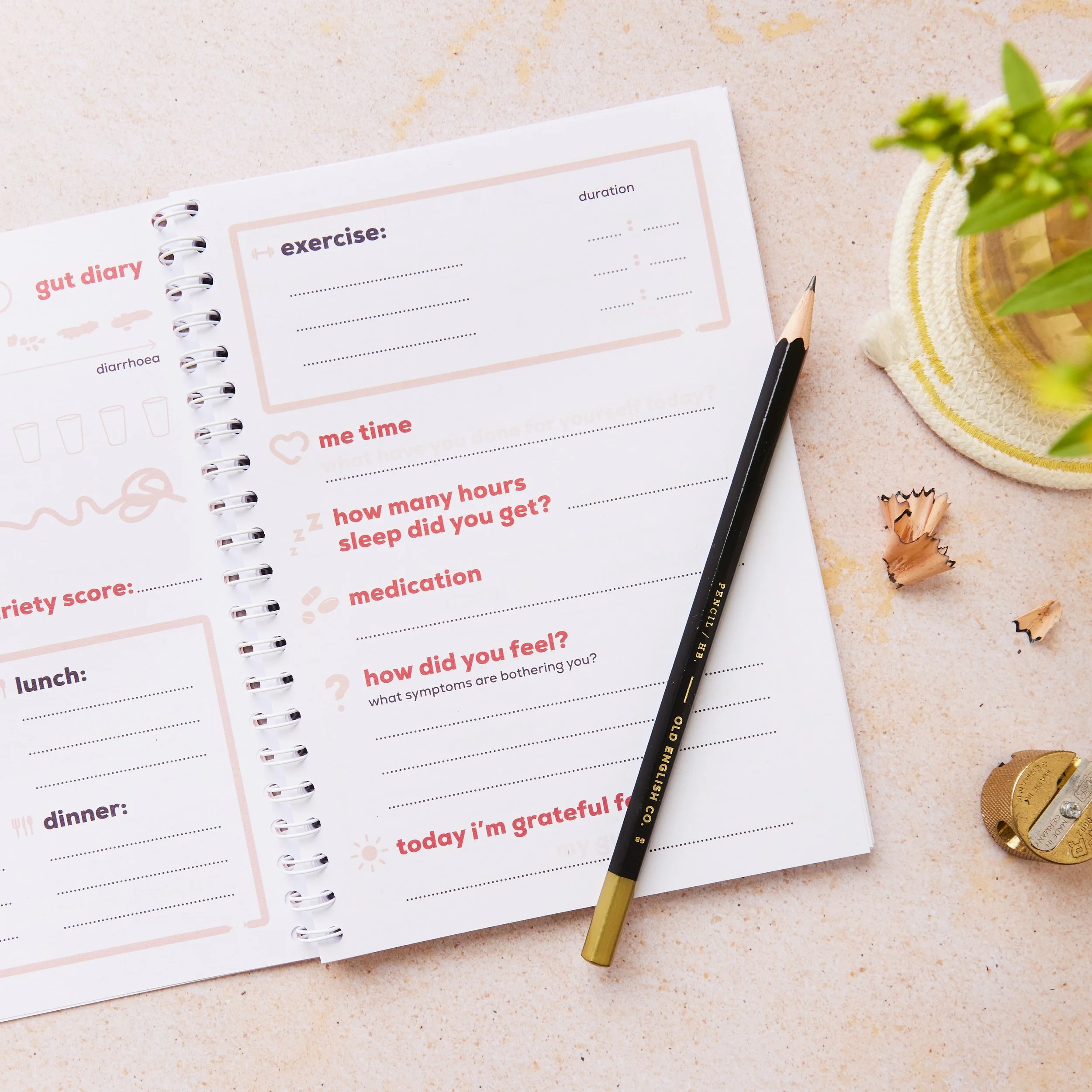 Gut health diary | Product Photography