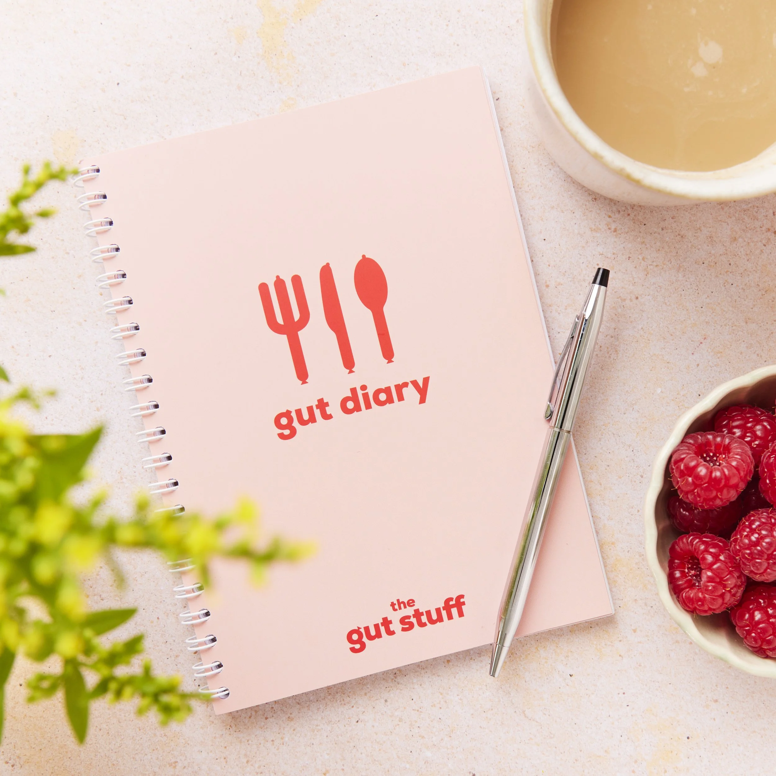 Gut health diary | Product Photography