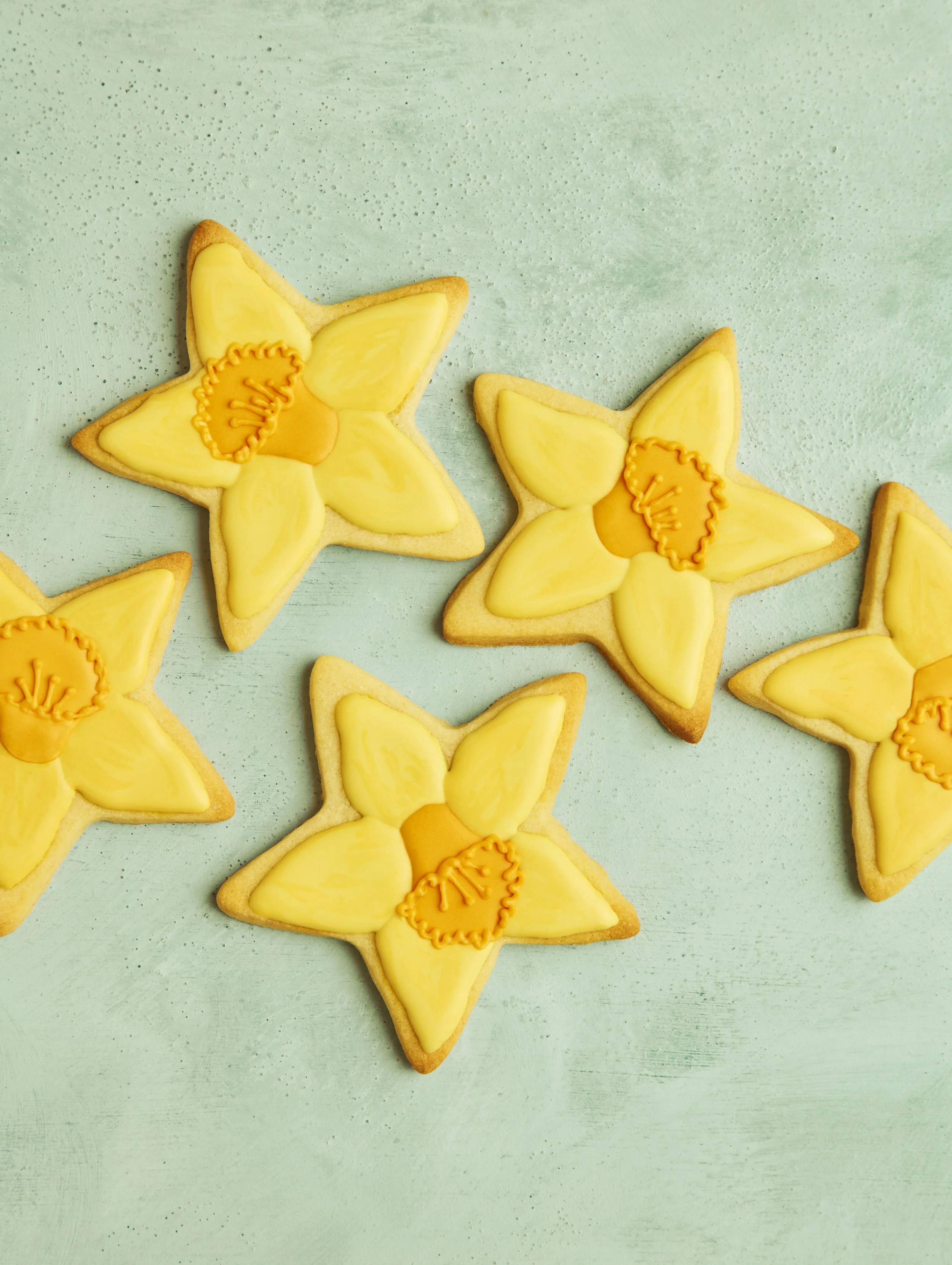 Star_Daffodil_883_Crop.jpg