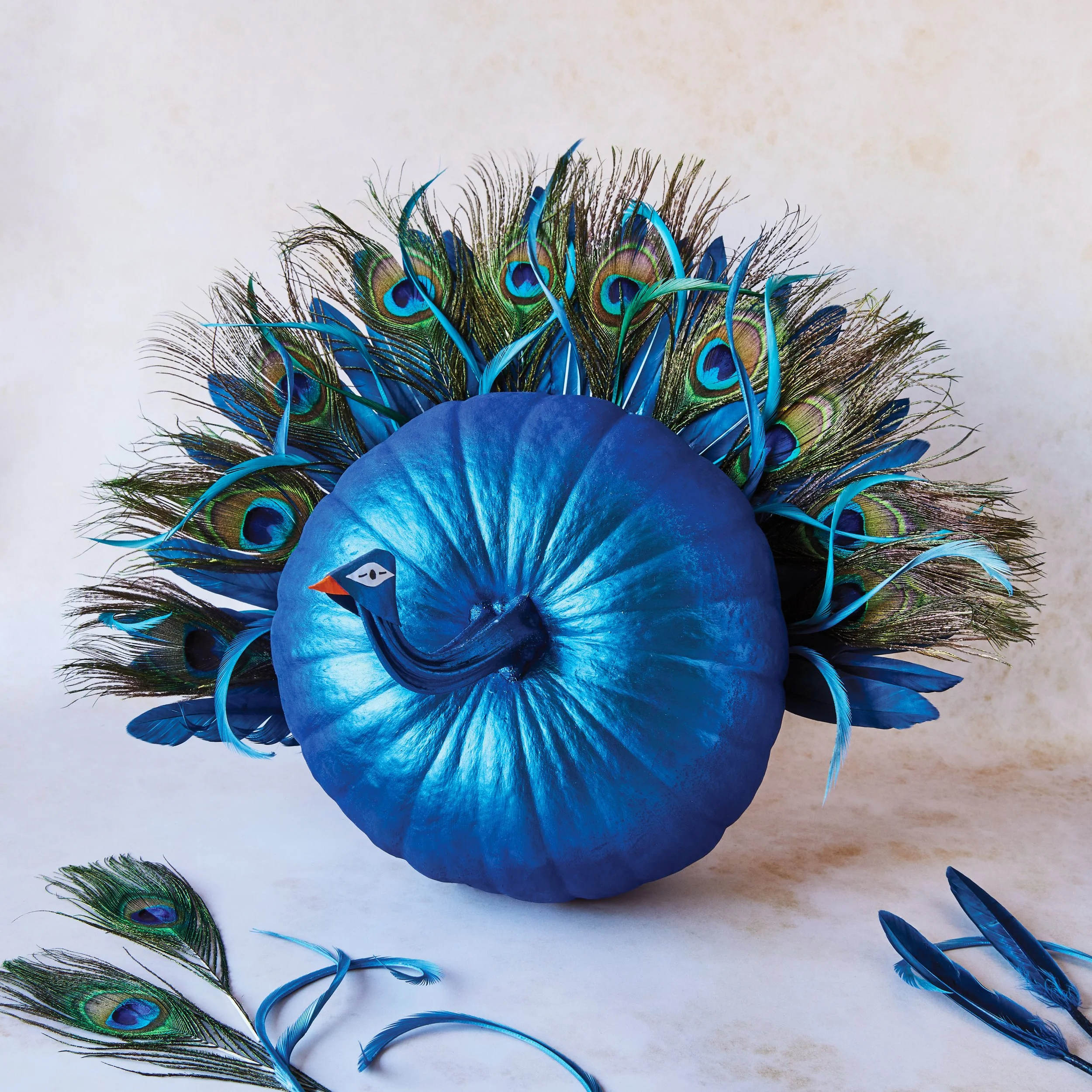 Pamper_That_Pumpkin_Peacock_3305.jpg