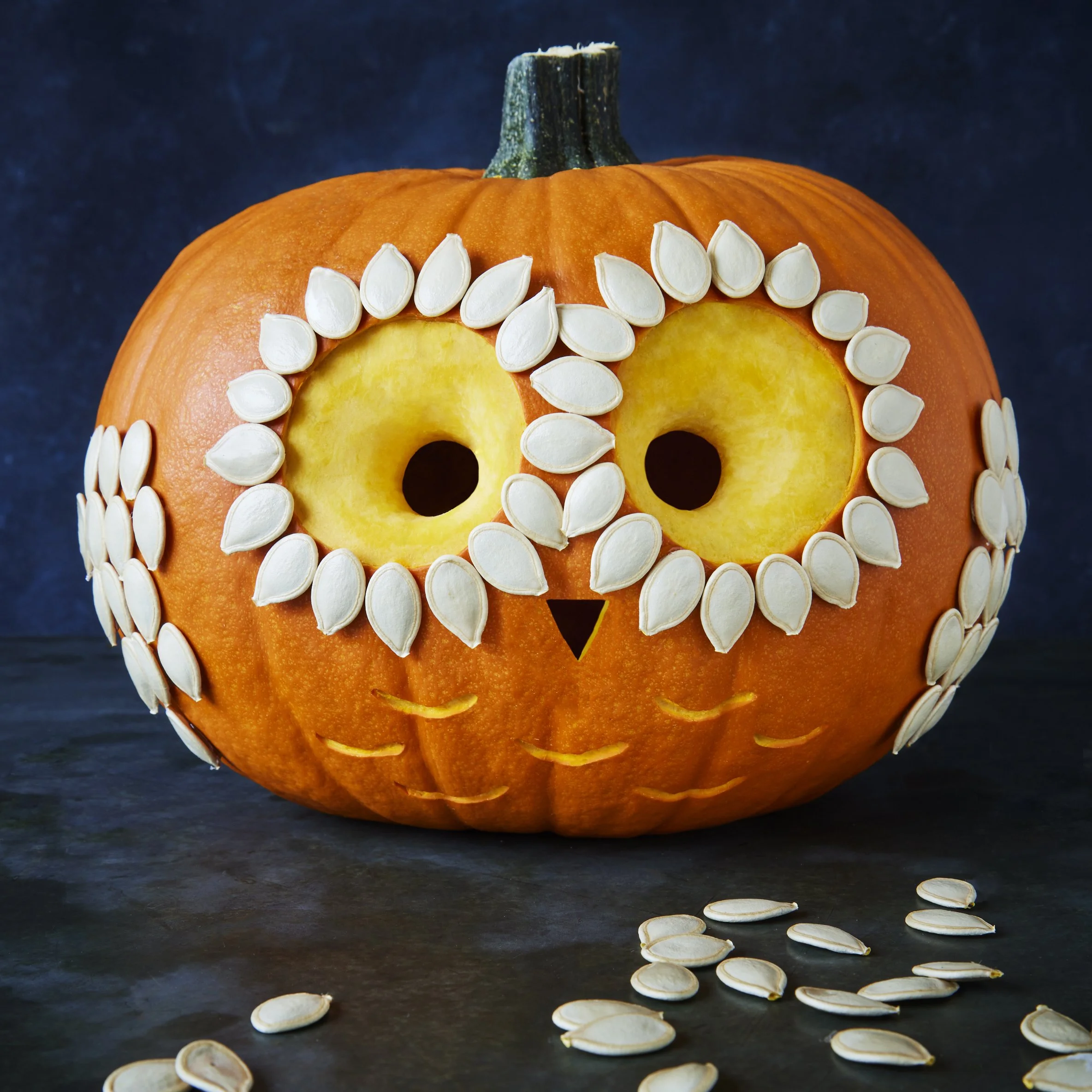 Pamper_That_Pumpkin_Owl_3358.jpg