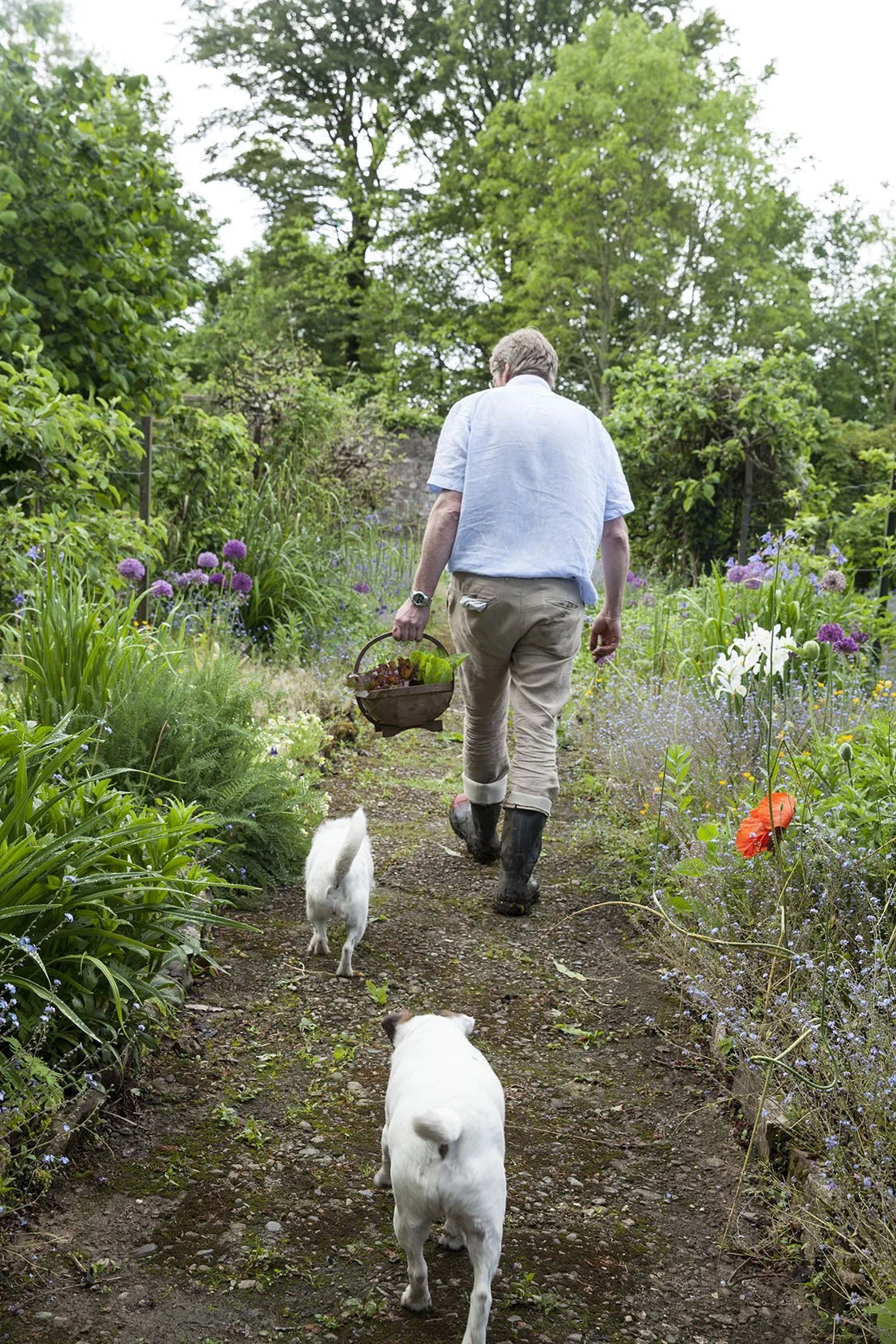 Halen Mon Walled garden.jpg