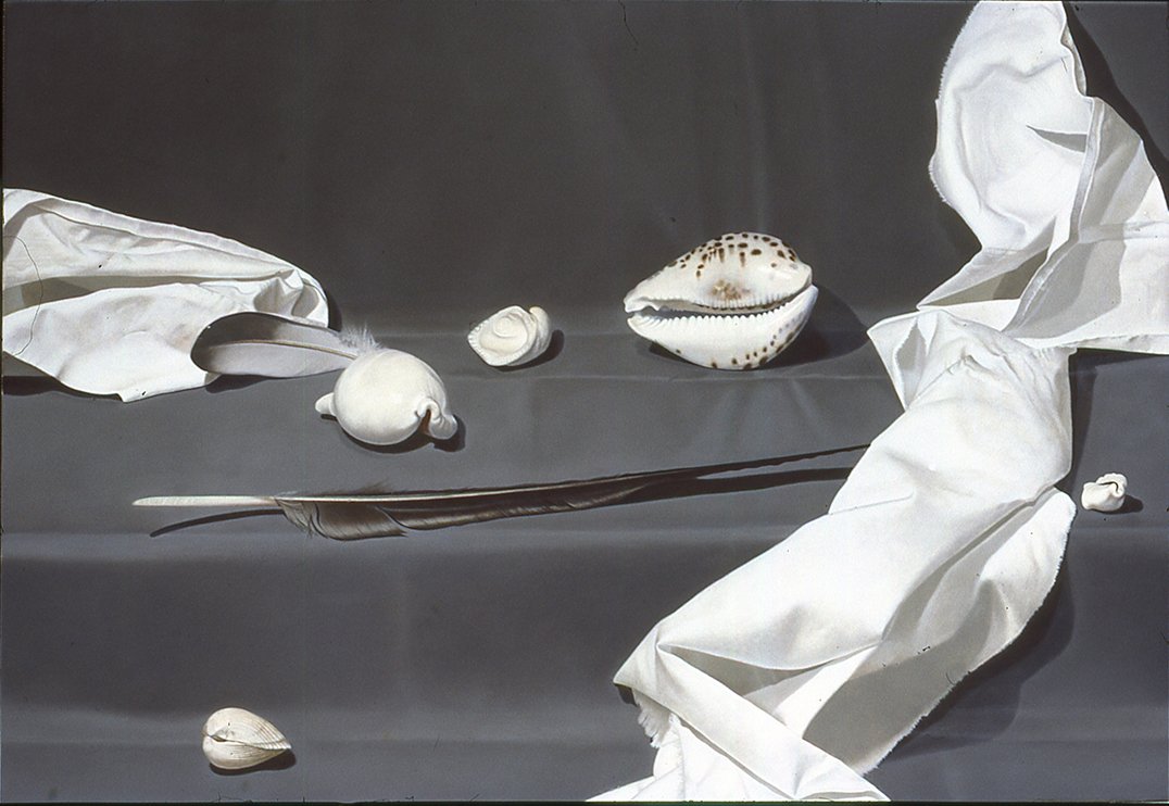Still Life with 3 Cowries, Oil on Board, 15" x 22" 1984