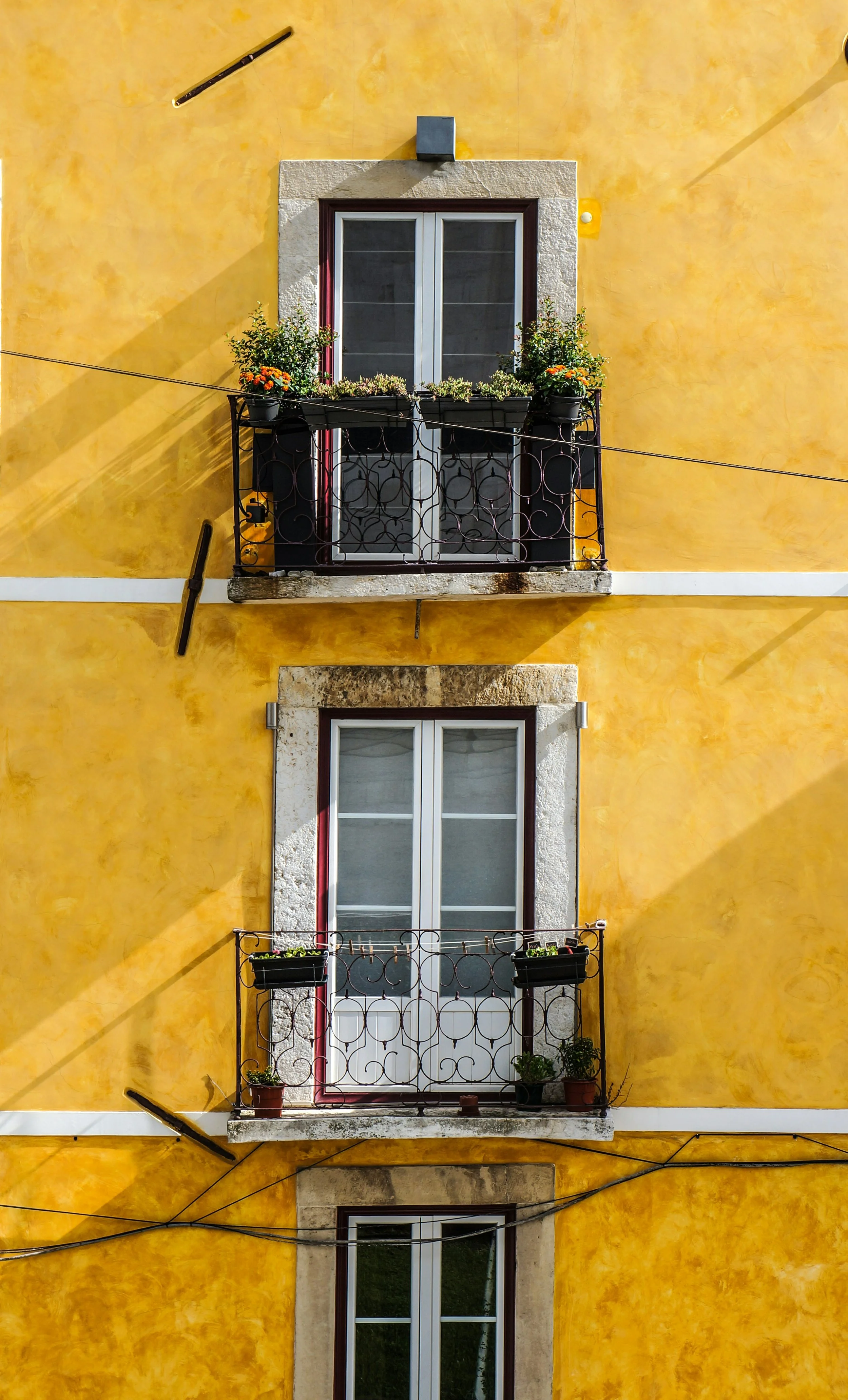 lili-popper-hq8s4zjhj3I-unsplash.jpg