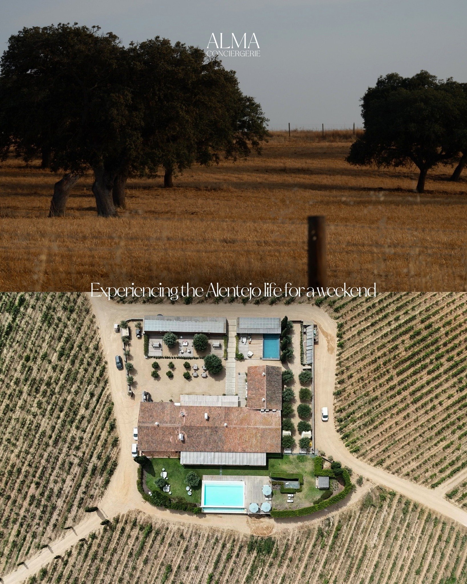 🇵🇹✨ Permitir-se uma escapadinha no cora&ccedil;&atilde;o do Alentejo, entre colinas suaves, vinhas sem fim e oliveiras centen&aacute;rias.
Aninhada nesta paisagem preservada, a @malhadinhanova  oferece uma hospitalidade requintada, onde cada detalh