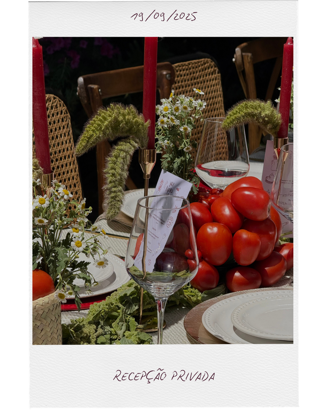 Alma Eventos