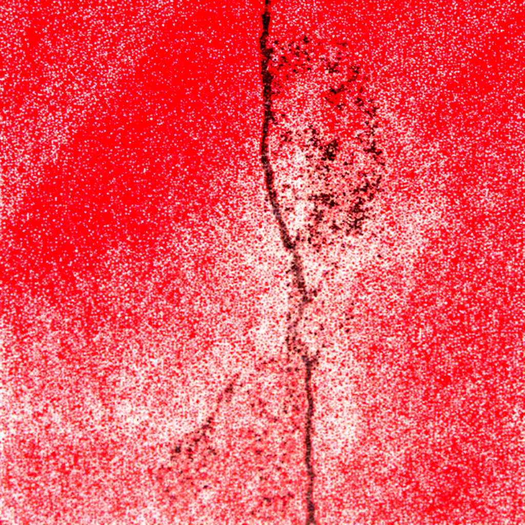 MIT_paper__00004_.png