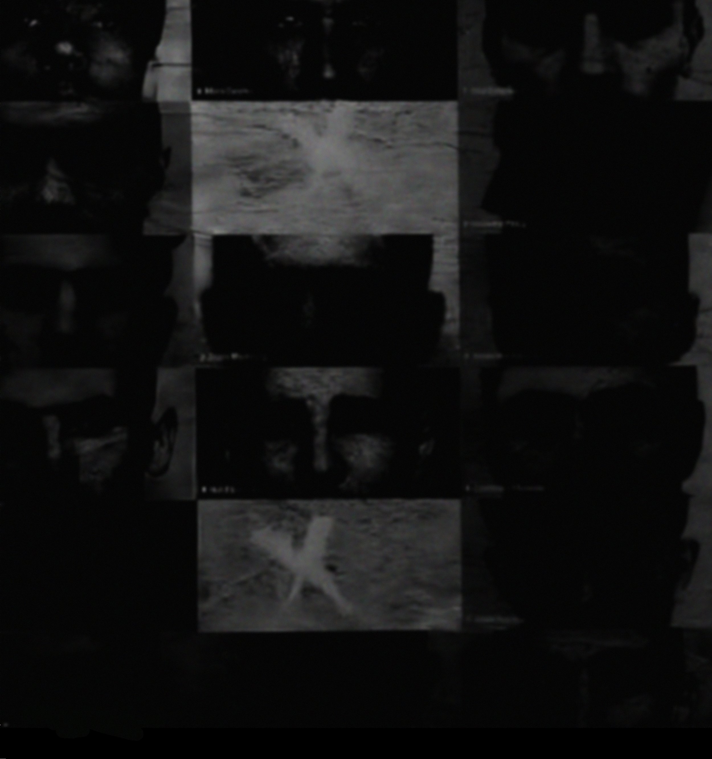 HUSKS 2 JACKET BACK.jpg