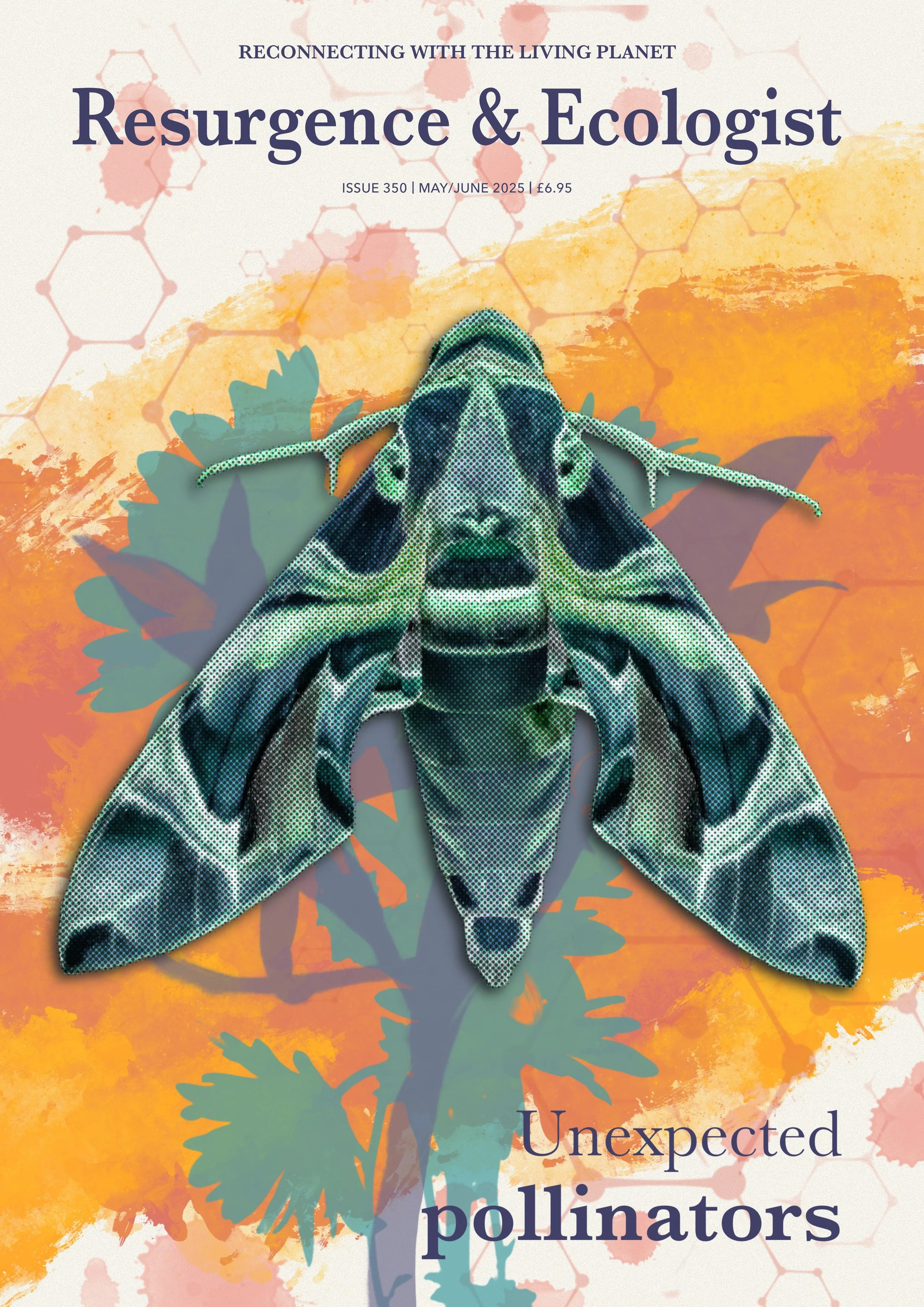 Editorial Illustration