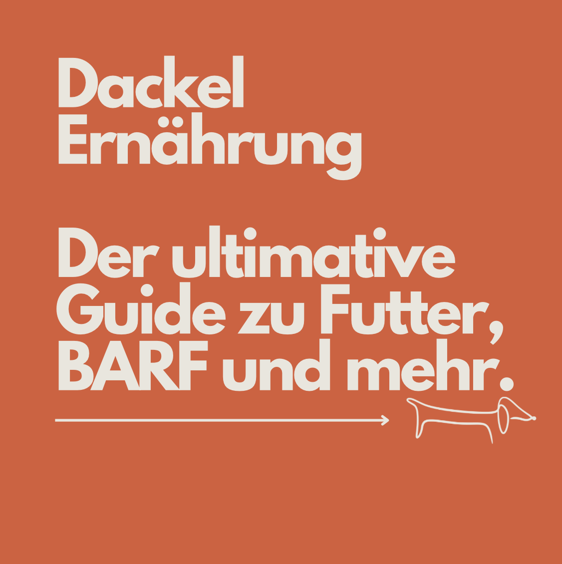 Dackel Ernährung: Der ultimative Guide zu Futter, BARF & Futterplänen