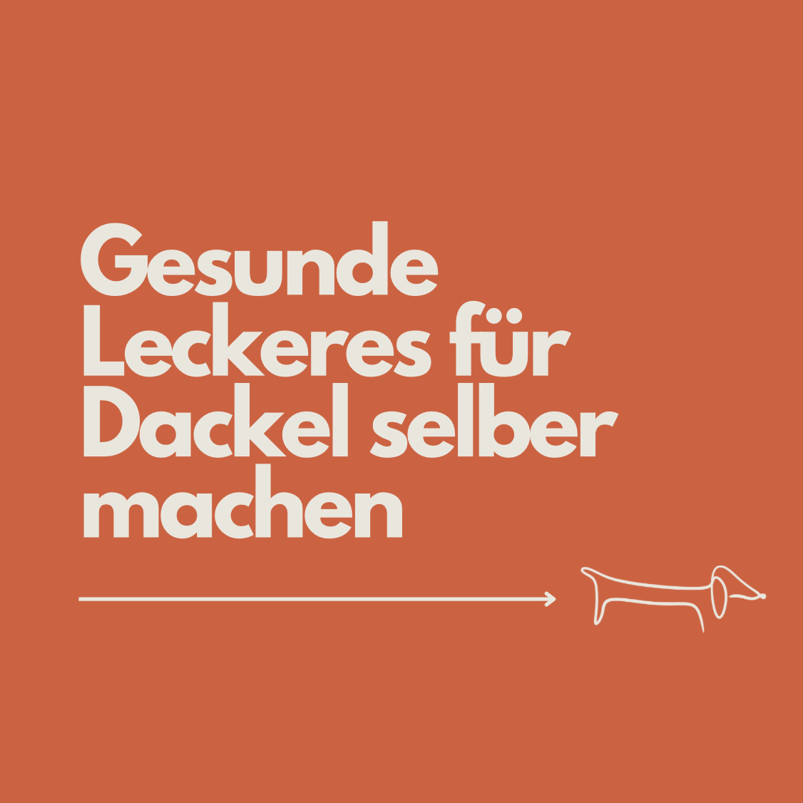 Gesunde Leckerlis für Dackel selber machen: 15 bewährte Rezepte für Deinen Liebling