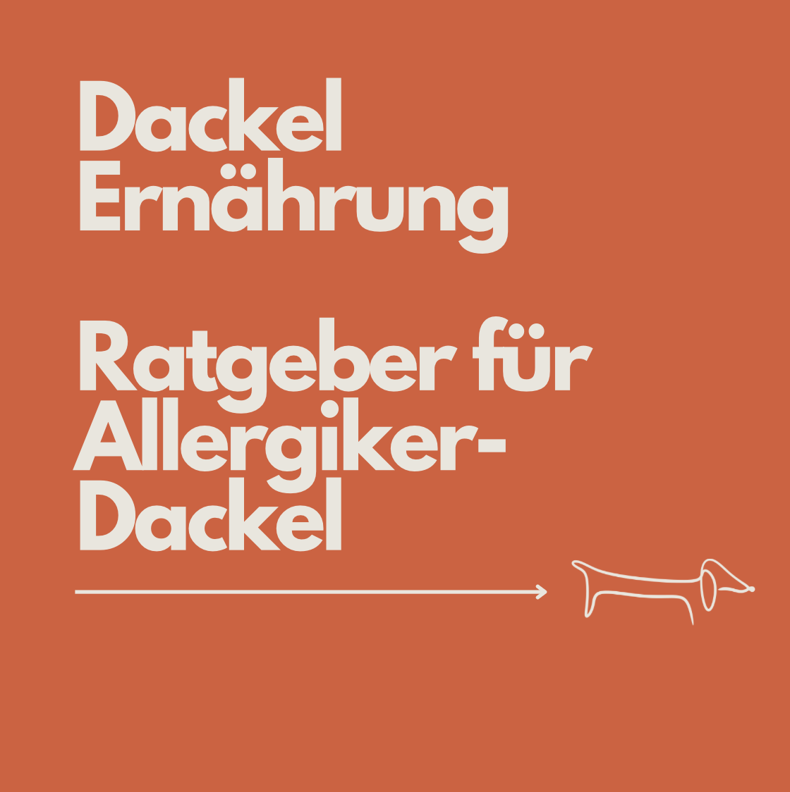 Dackel Allergie Ernährung: Der komplette Ratgeber für Allergiker-Dackel
