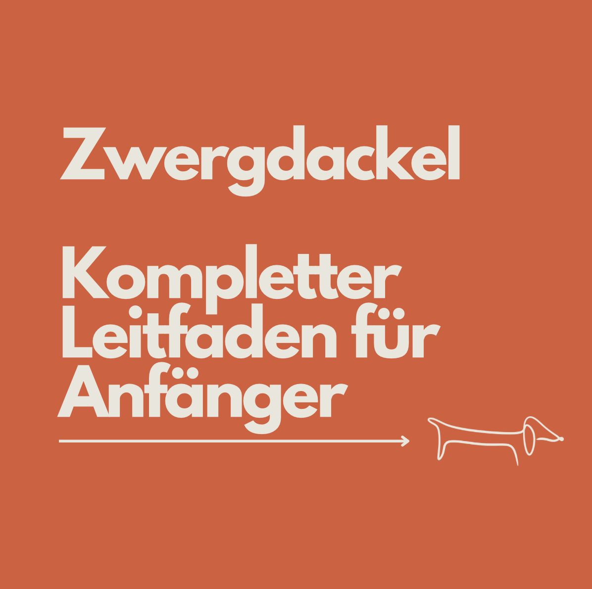 Zwergdackel für Anfänger: Kompletter Leitfaden