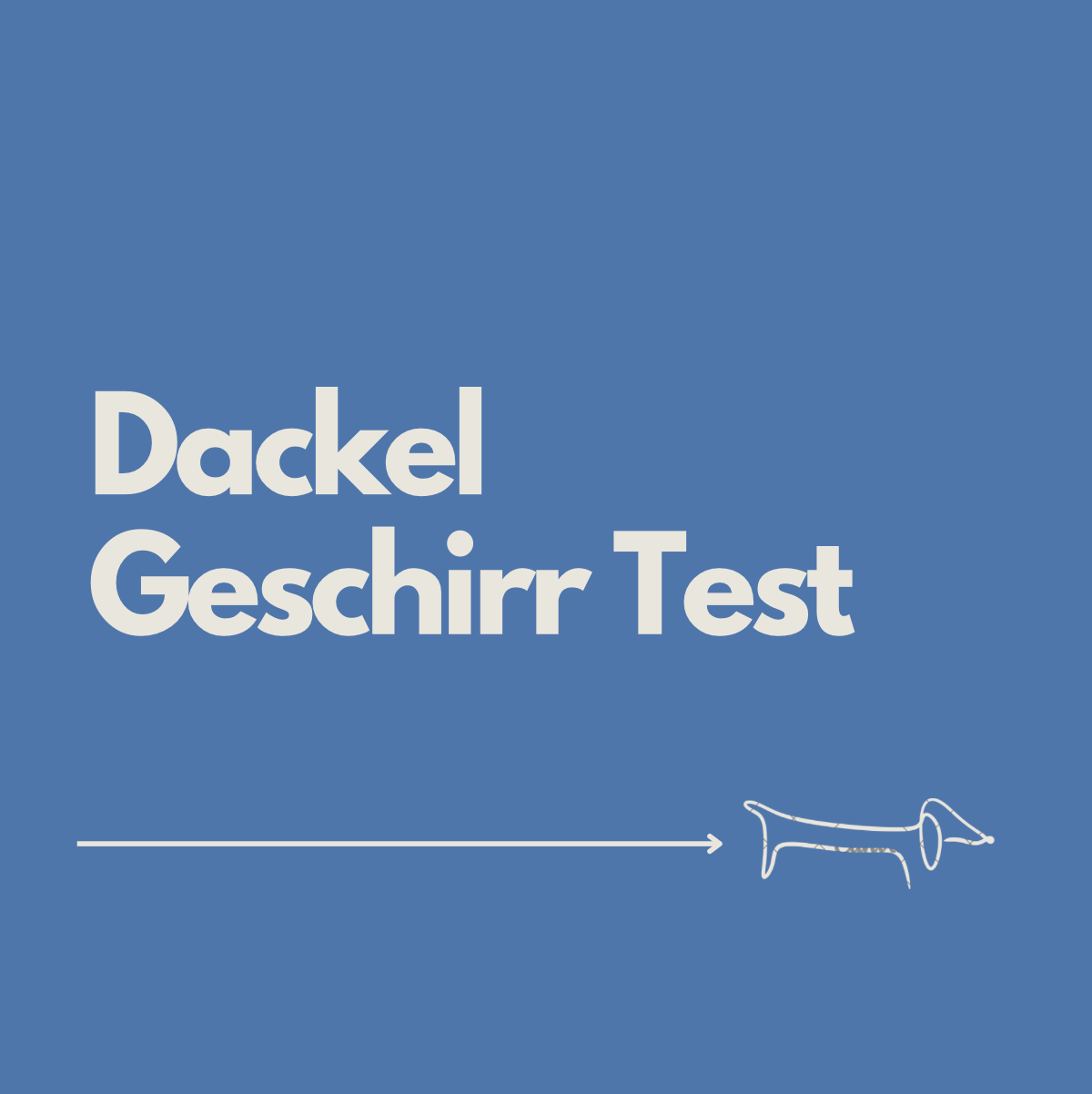 Dackel Geschirr Test 2026: Die 4 besten Modelle (mit Emils Erfahrungen)