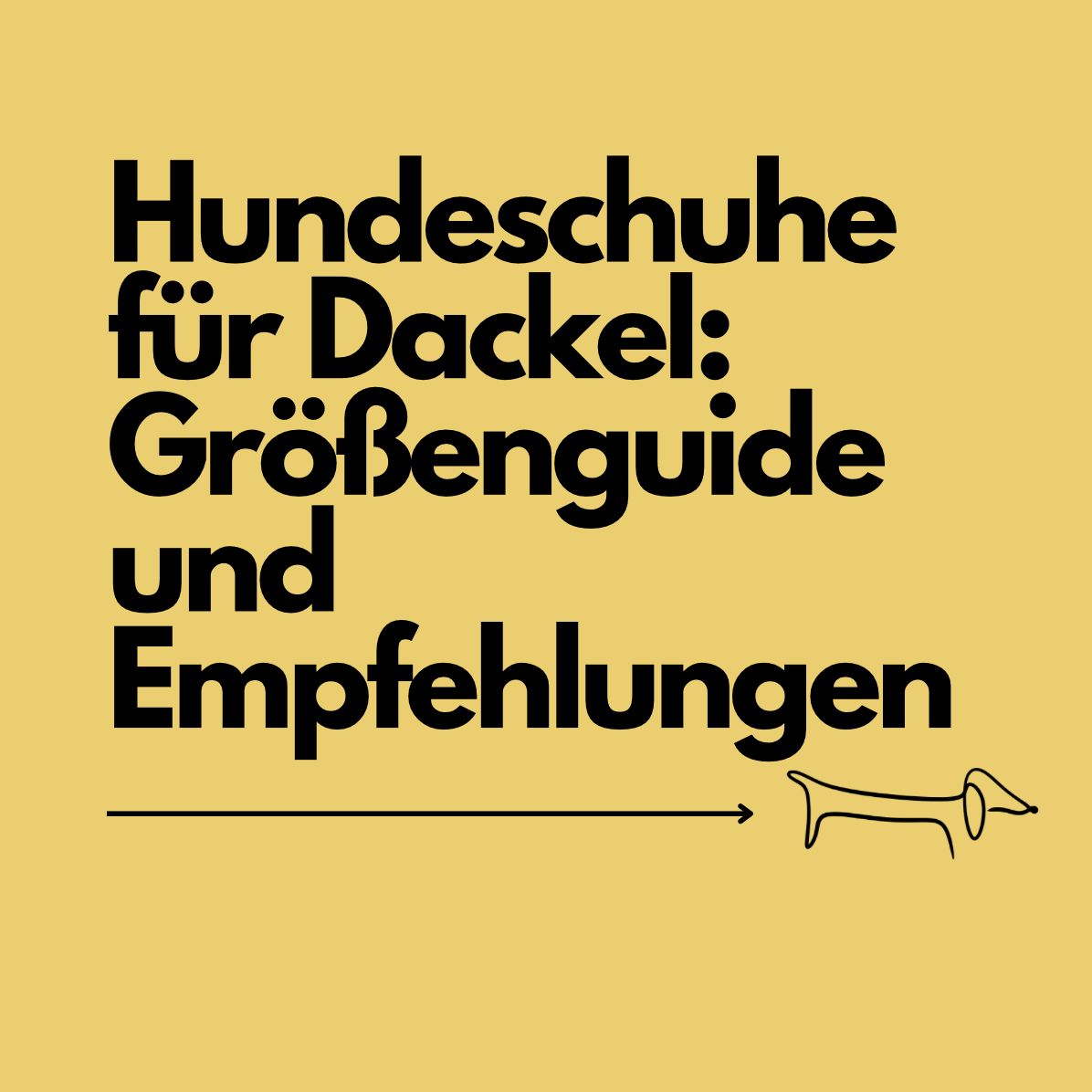 Hundeschuhe für Dackel: Größenguide &amp; Empfehlungen