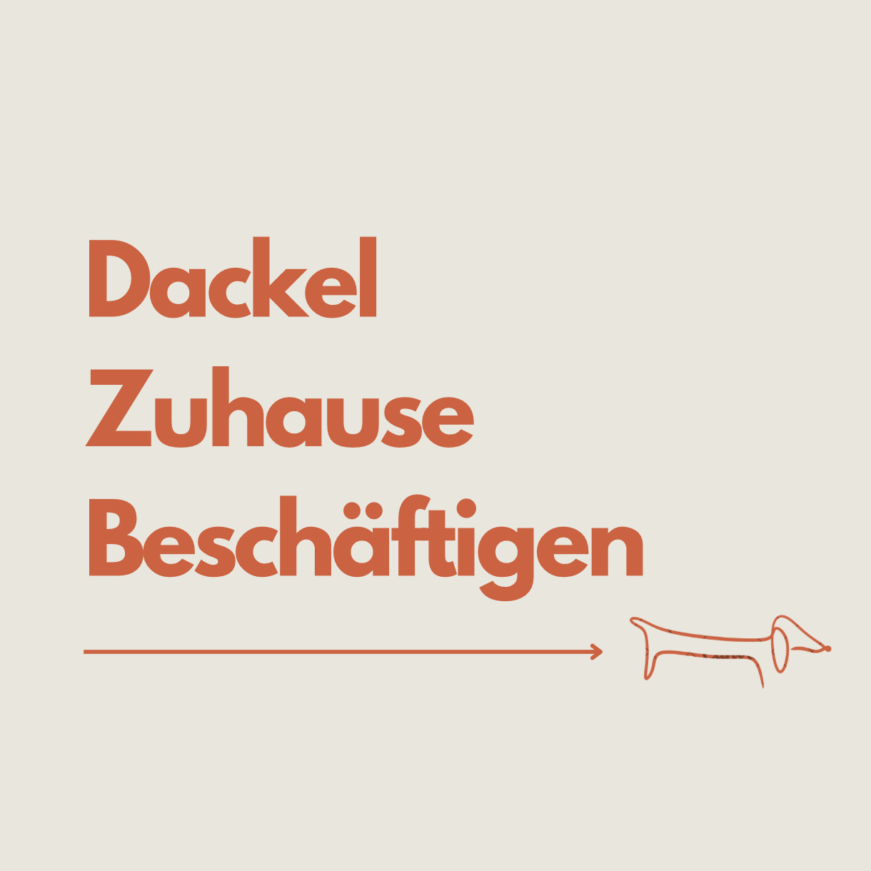 Dackel zuhause beschäftigen: Was, wenn wir nicht raus können?