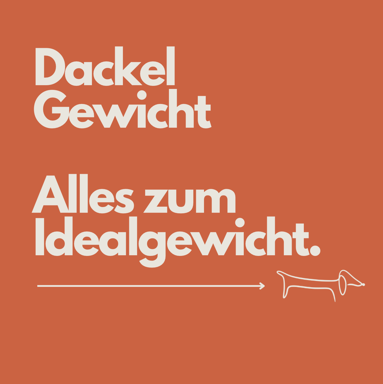 Dackel Gewicht: Gewichtstabelle, Idealgewicht &amp; Übergewicht erkennen