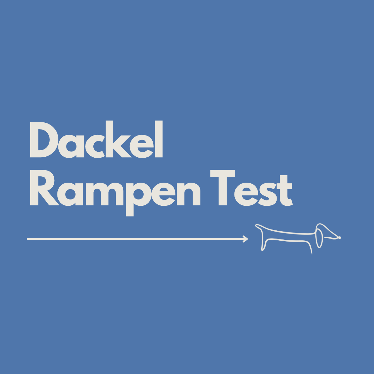 Dackel Rampe: Die 4 besten Modelle für Sofa &amp; Auto (mit Emils Test)