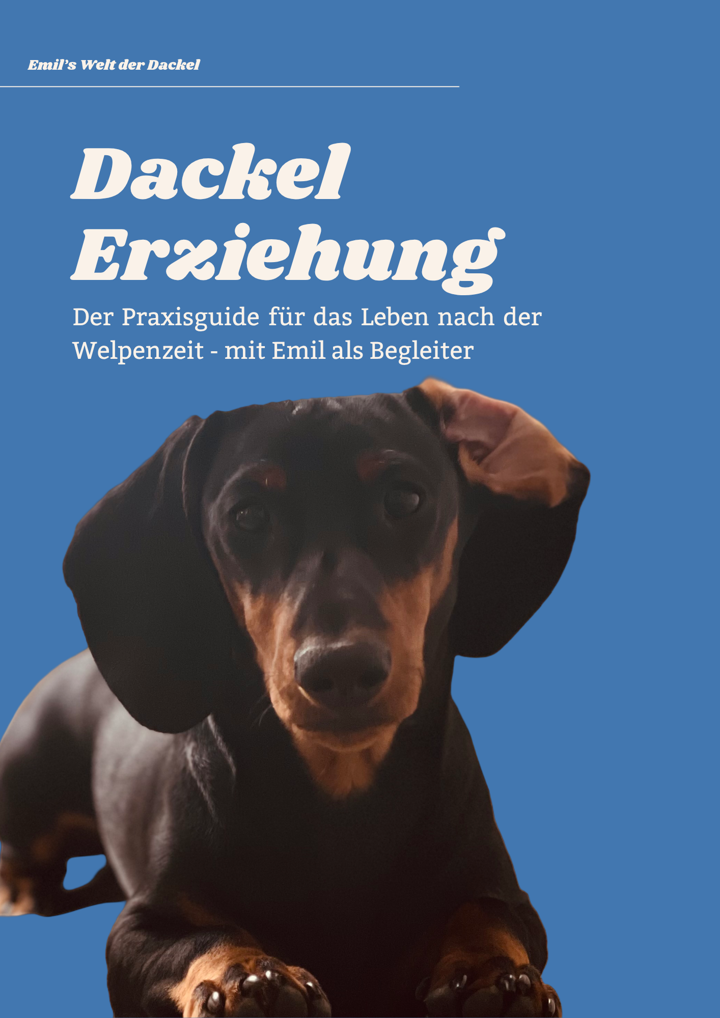 Dackel Erziehung: Der Praxis-Guide für das Leben nach der Welpenzeit (+100 Seiten)