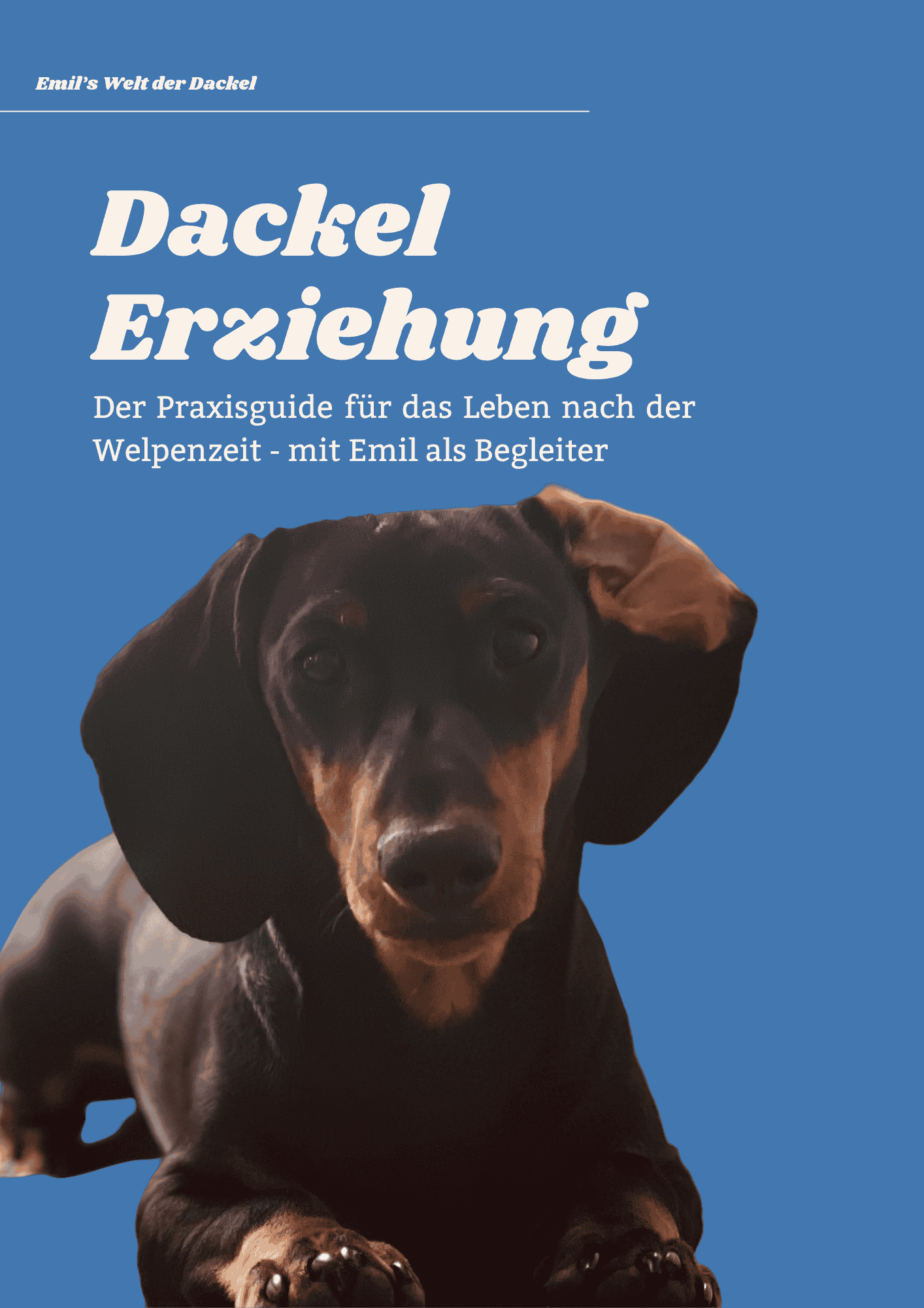 Dackel Erziehung: Der Praxis-Guide für das Leben nach der Welpenzeit (+100 Seiten)