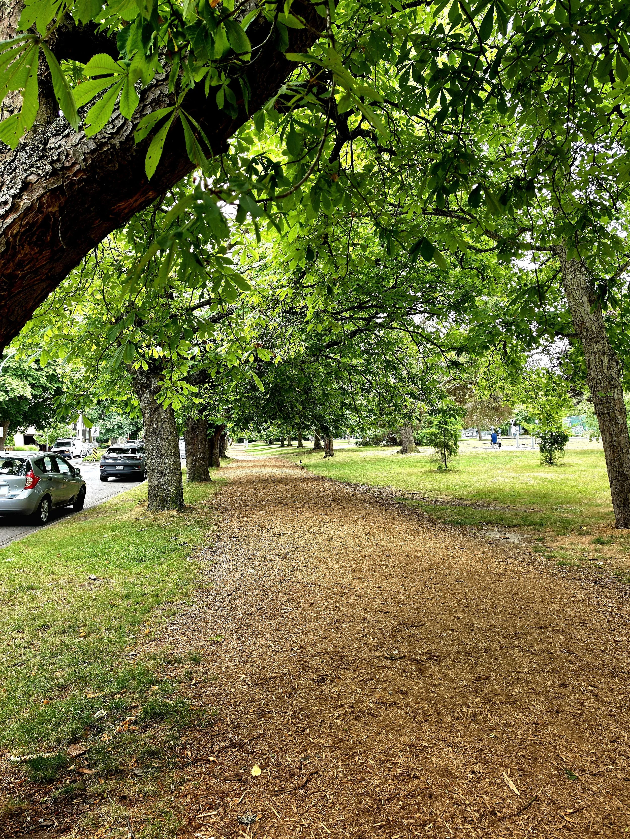 Cook St Village Fairfield Victoria