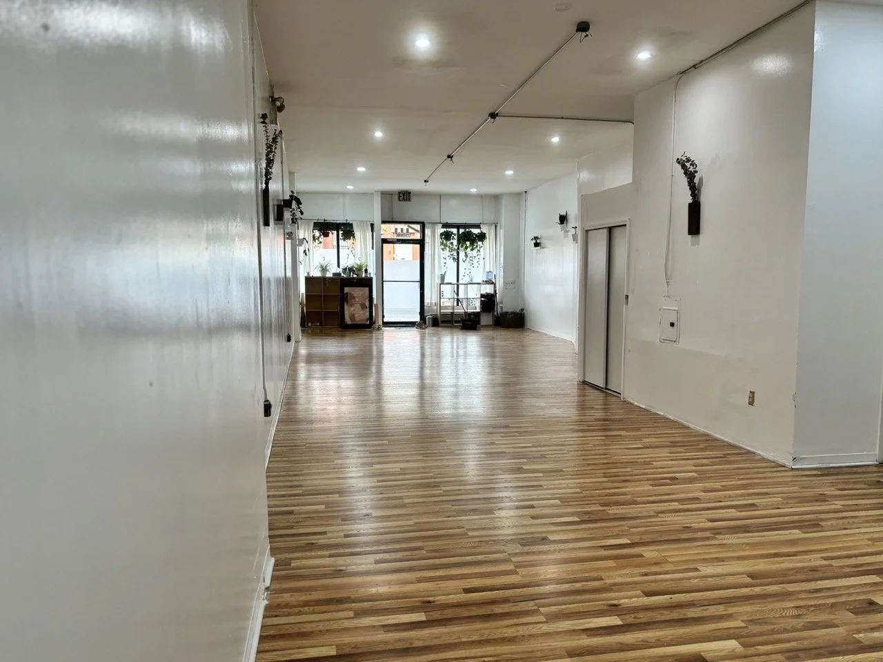 IMG_1736 2 Large.jpeg