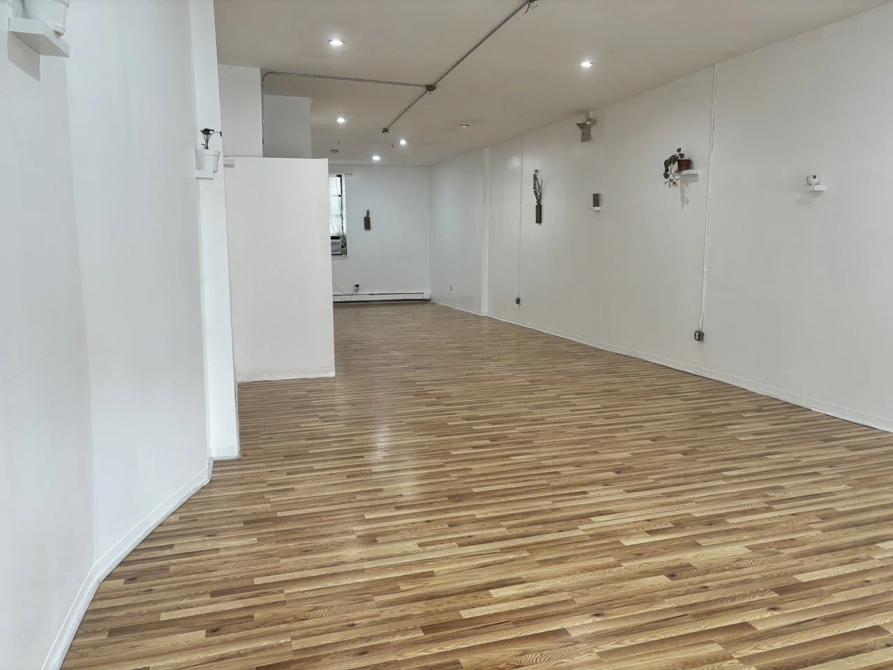 IMG_1733 2 Large.jpeg